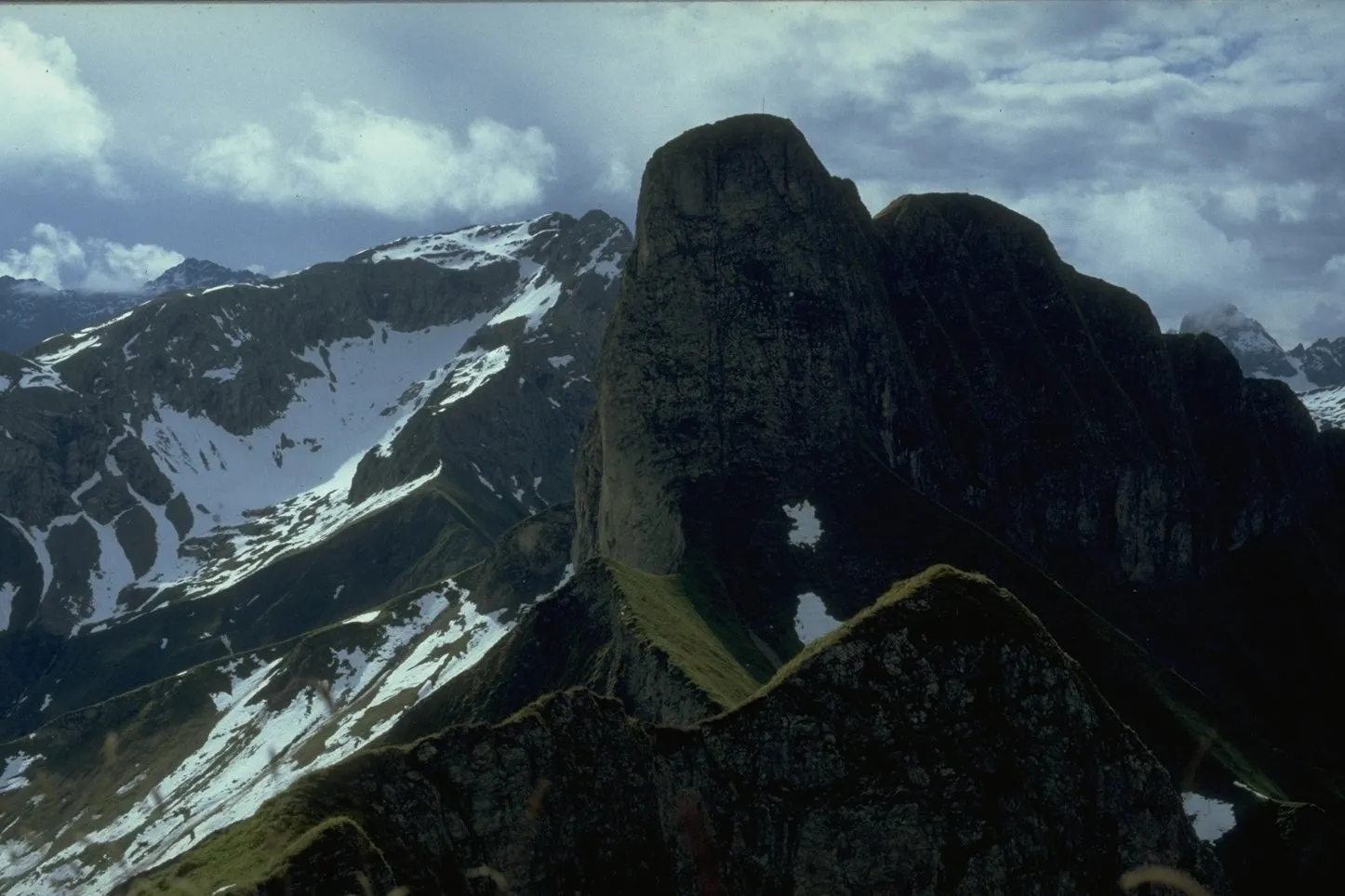 Photo showing: Schneck vom Rotkopf