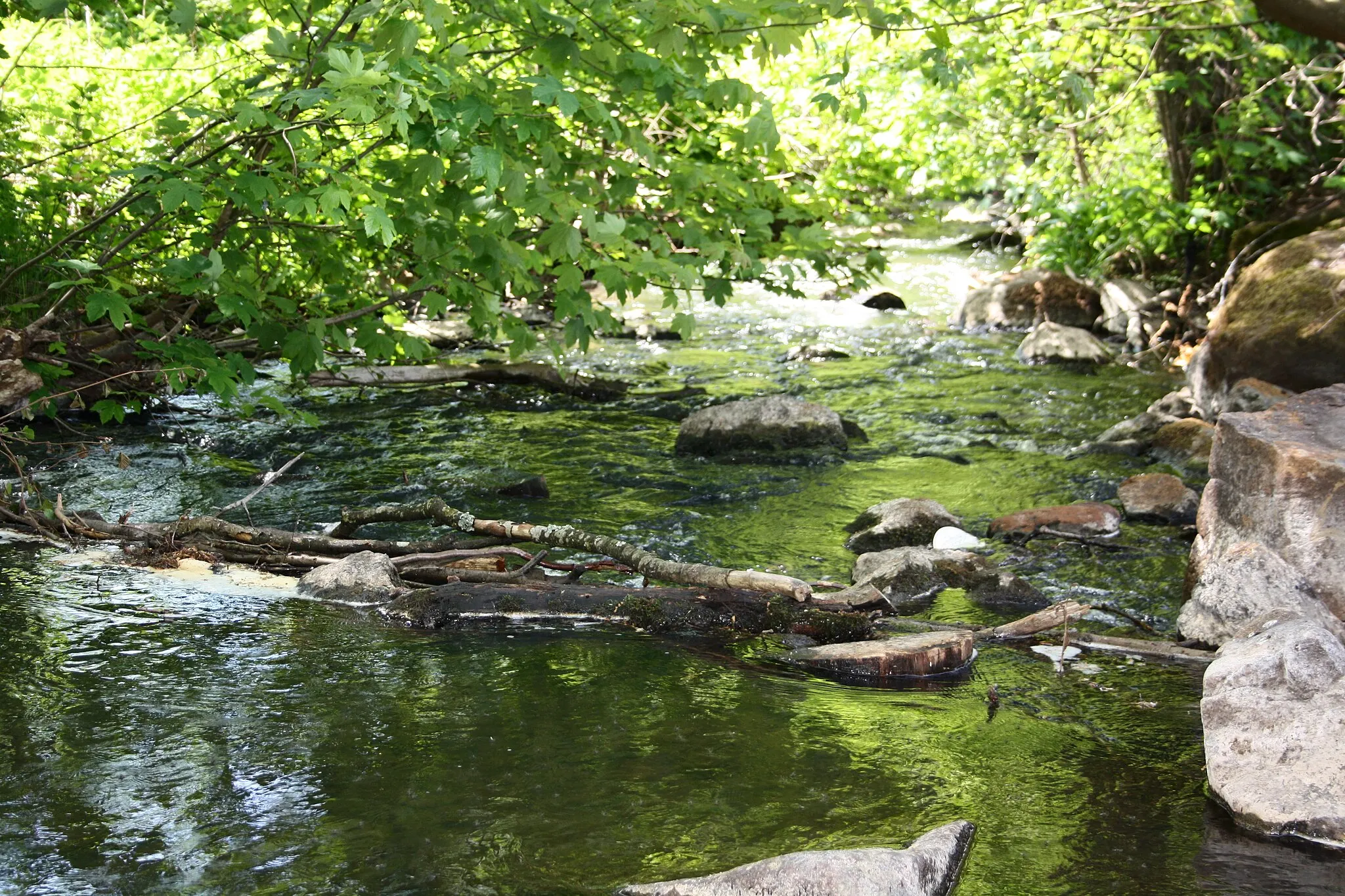 Photo showing: Der Seebach, Zufluss des Schafbach, bei Hergenroth, Westerwald, Rheinland-Pfalz, Deutschland