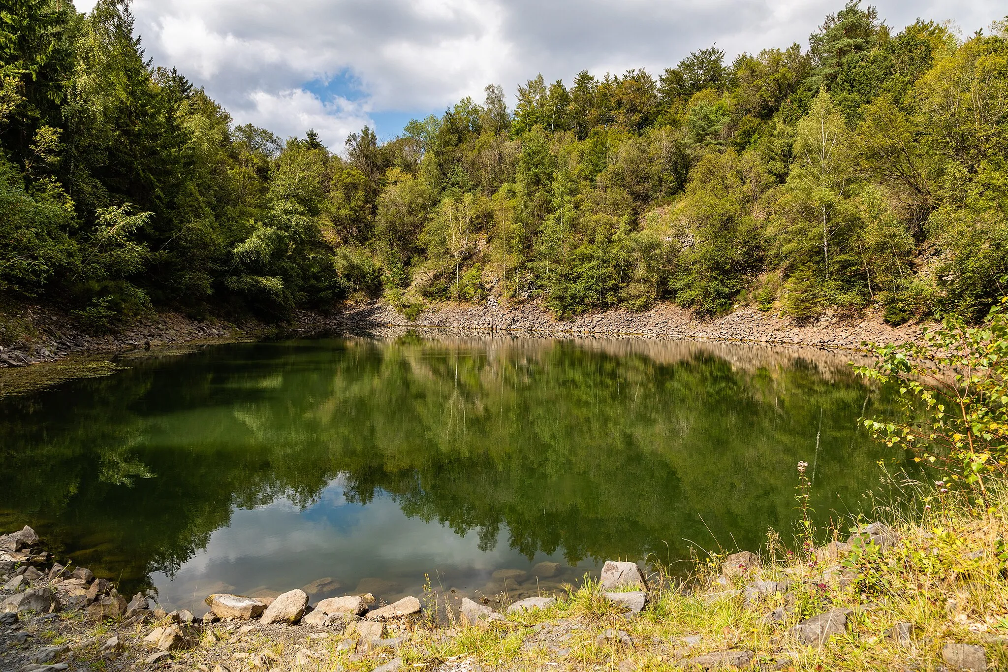 Photo showing: Das Naturdenkmal Leuner Burg ist ein ehemaliger Steinbruch, der mit Wasser gefüllt ist.