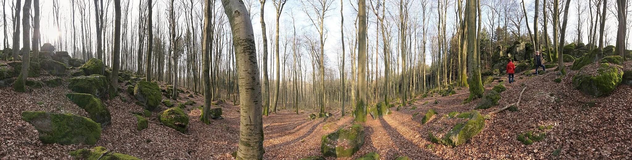 Photo showing: Die Basaltformationen des Naturdenkmals Hochstein in Höhn-Neuhochstein