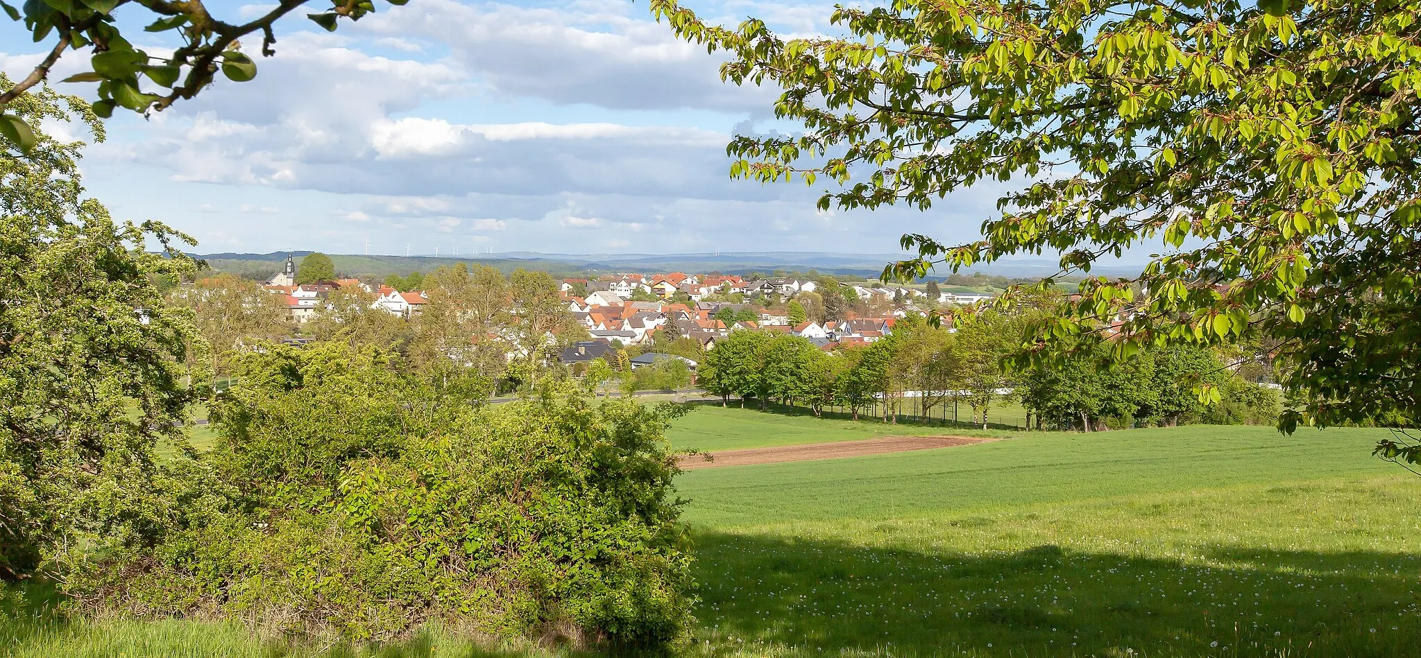 Photo showing: Blick vom Dautenberg auf den Ort