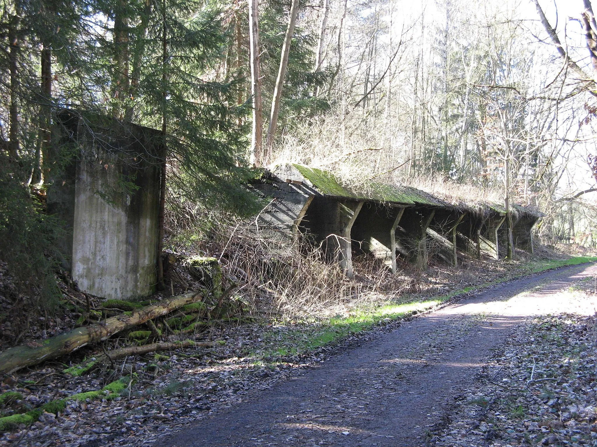 Photo showing: Reste der Laderampe der Kerkerbachbahn an einer Hintermeilinger Tongrube