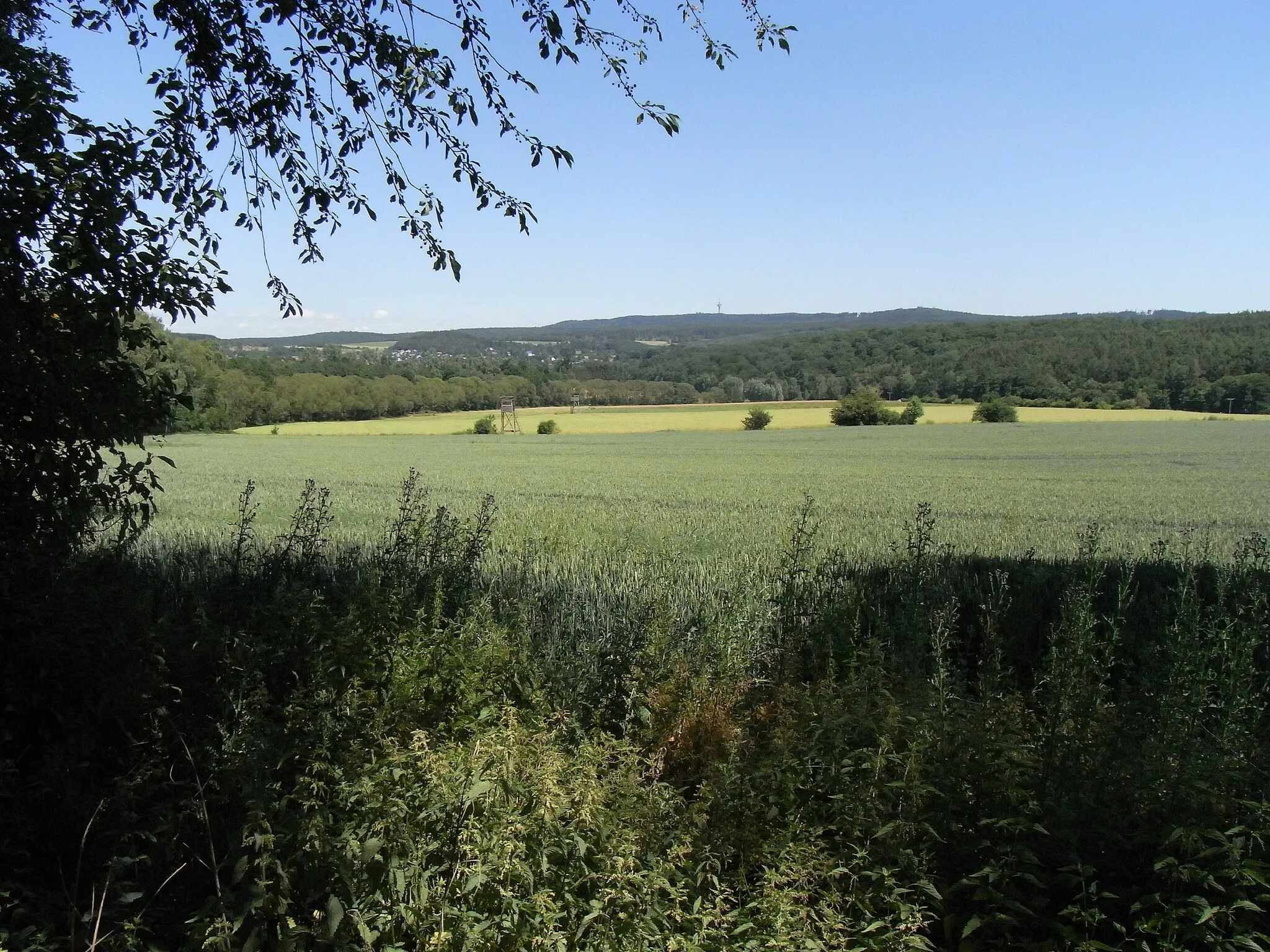 Photo showing: Erlenbach in Gänze von Westen, mit, im Hintergrund von links nach rechts: Winterstein, Steinkopf, Kuhkopf und Heßberg, zu dessen Füßen (Masten der 20 kV-Freileitung) der Erlenbach in den Erlengraben mündet