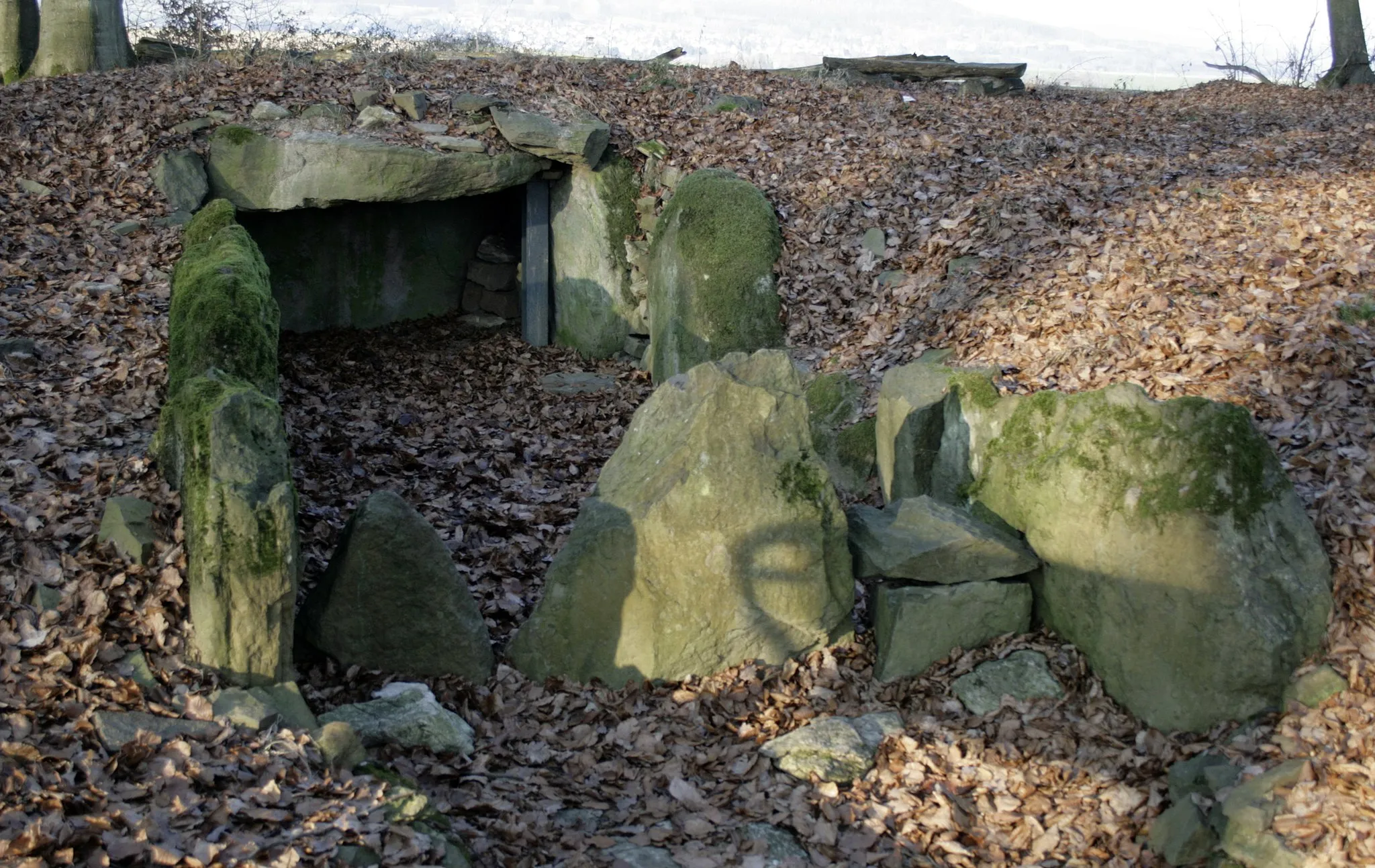 Photo showing: Steinkistengrab in Hadamar-Niederzeuzheim, Deutschland