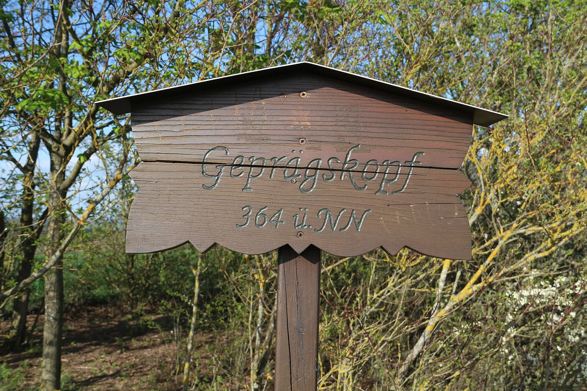 Photo showing: Geprägskopf Gemeinde Biebertal