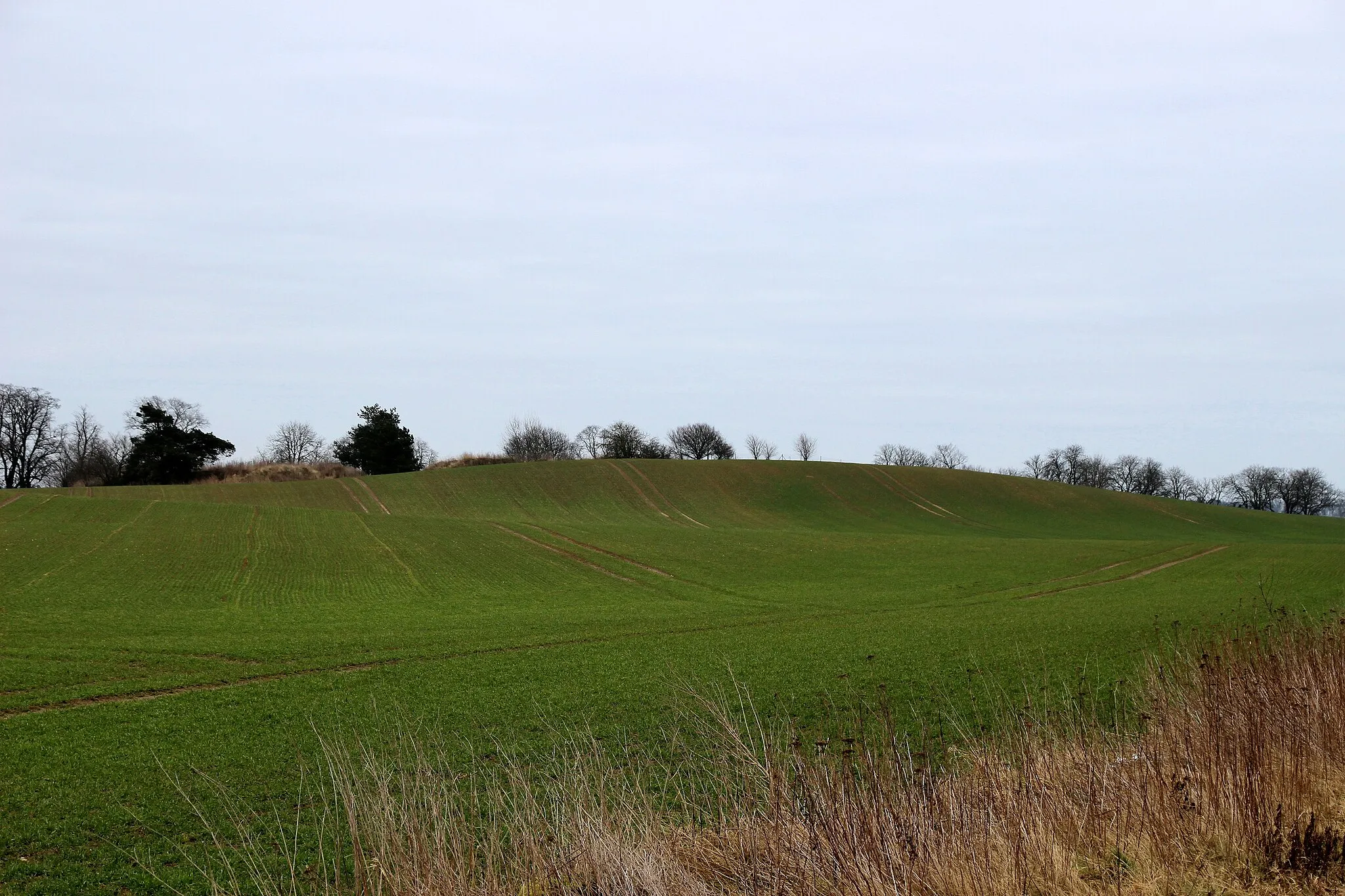 Photo showing: Ansicht der Bergkuppe von Nordwesten