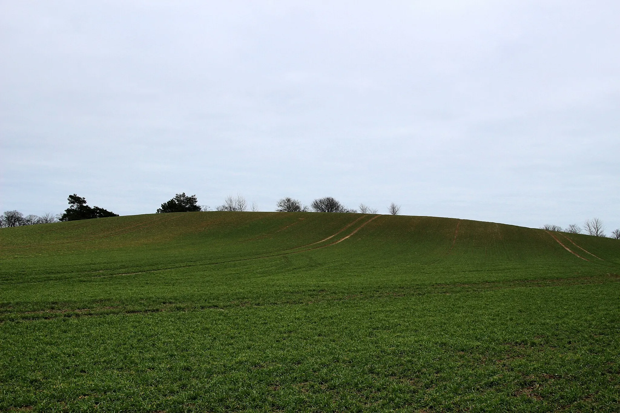 Photo showing: Ansicht der Bergkuppe von Westen