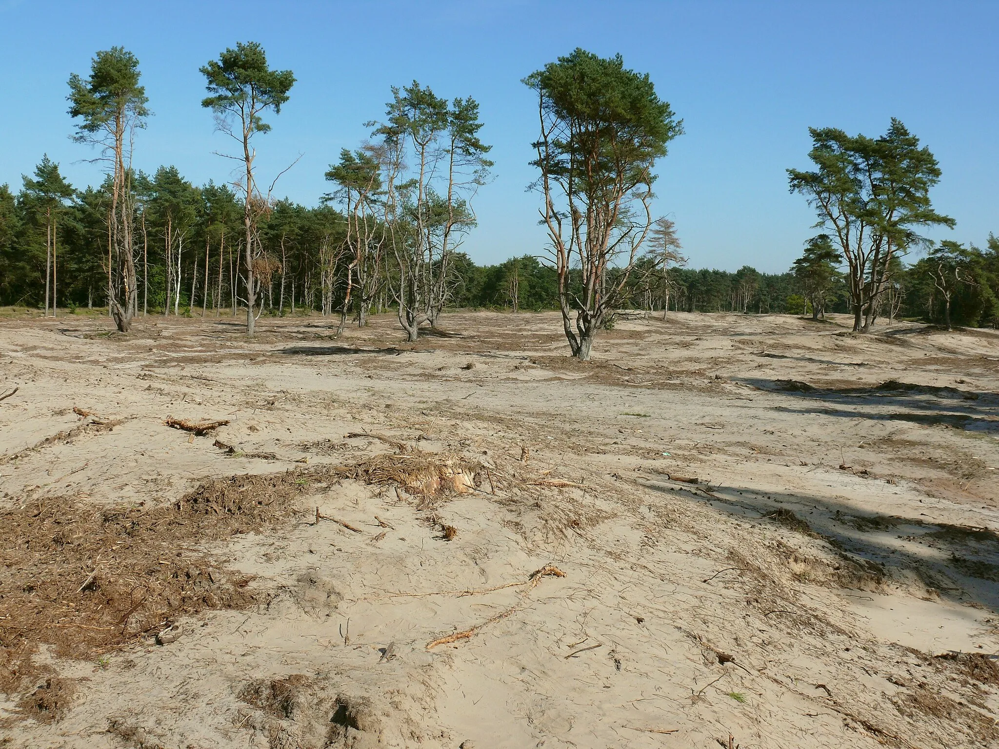 Photo showing: Holmer Sandberge kurz nach der Beseitigung der aufgelaufenen Vegetation