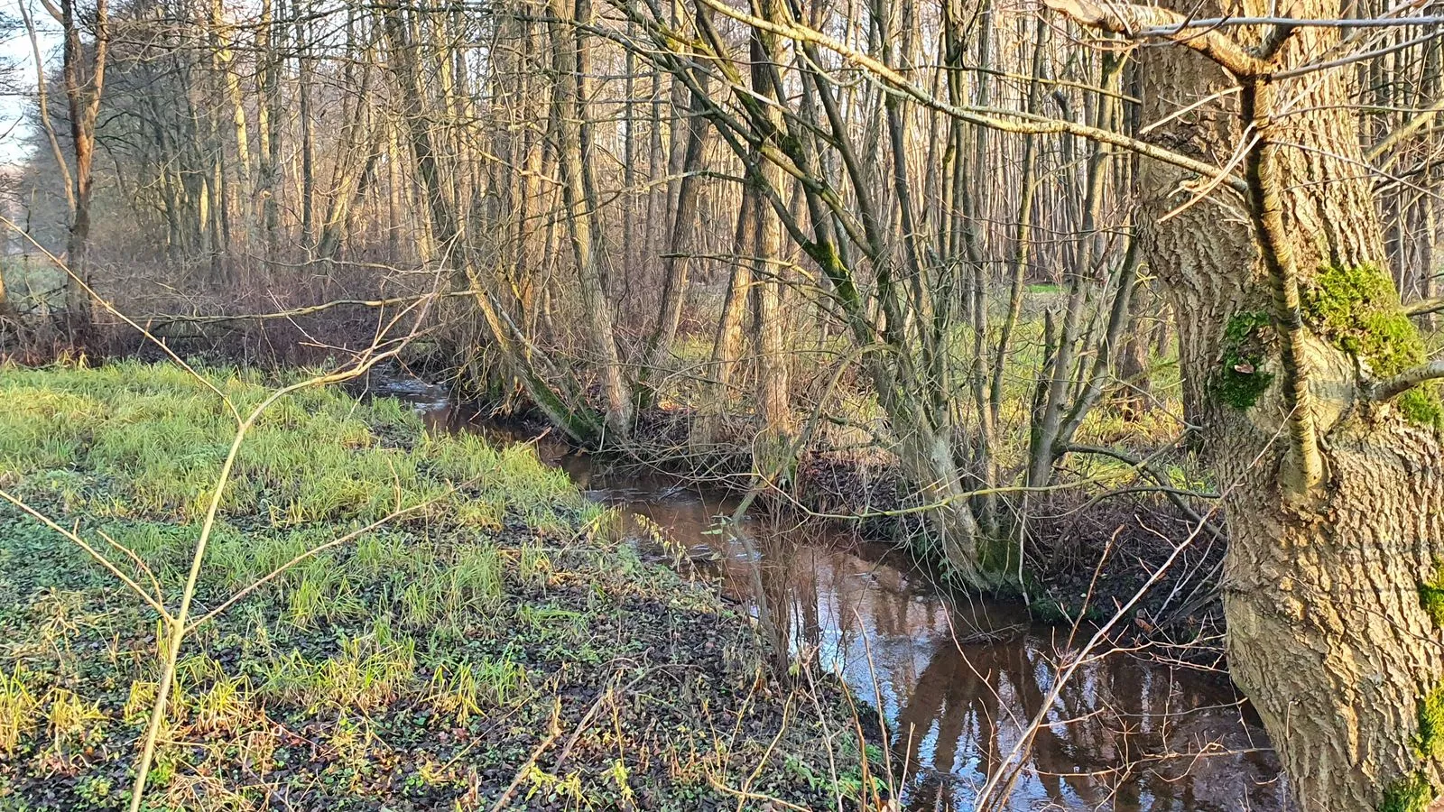 Photo showing: Rönnebeck