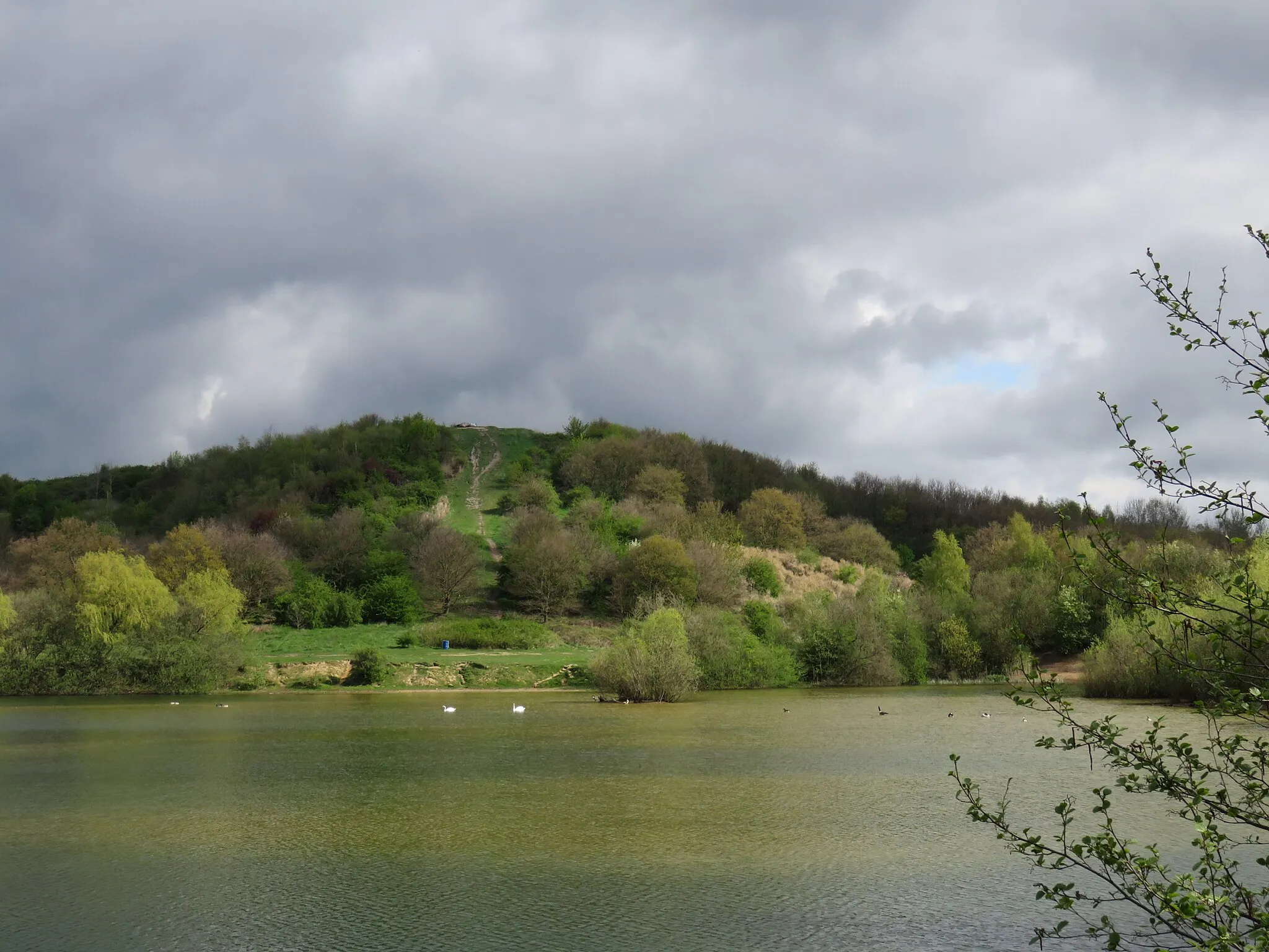 Photo showing: "Hummelsee" lake with swans in Mai, recreation area in Hamburg, Germany, background: renaturated landfill called "Müllberg Hummelsbüttel.