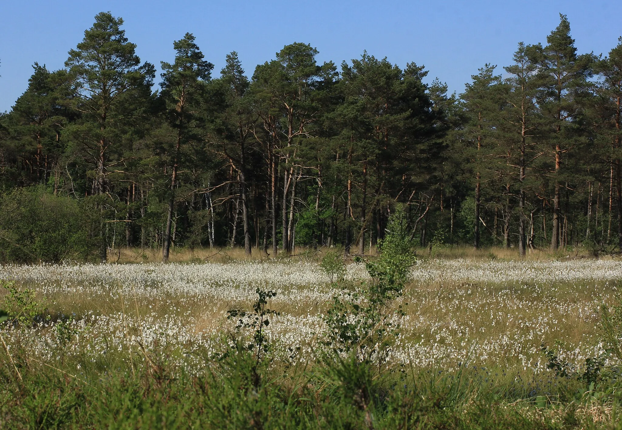 Photo showing: This is a picture of the protected area listed at WDPA under the ID