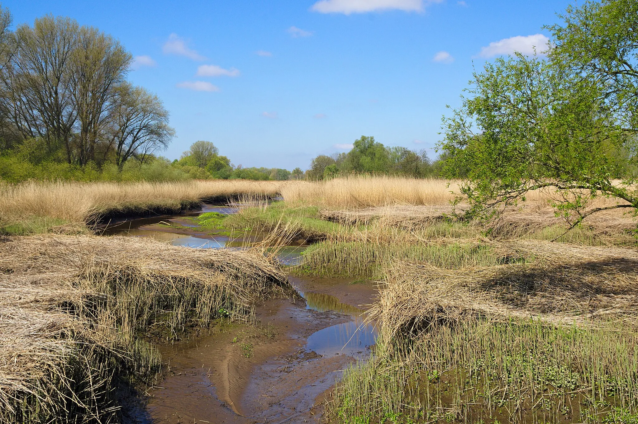 Photo showing: This is a picture of the protected area listed at WDPA under the ID