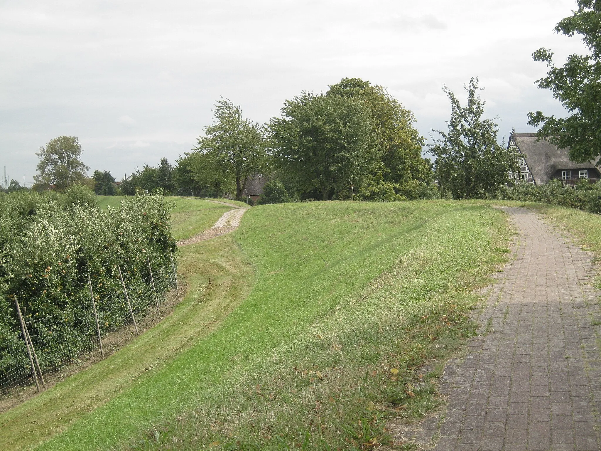 Photo showing: Deich neben der Hohenwischer Straße in Hamburg-Francop.