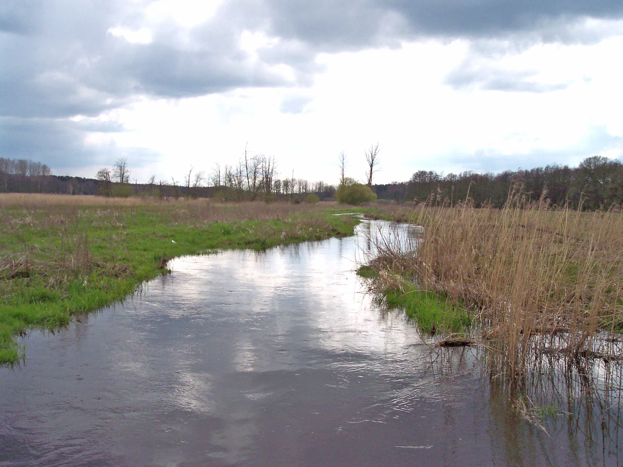 Photo showing: The river Aue Spring 2006 - Die Aue im Frühjahr 2006