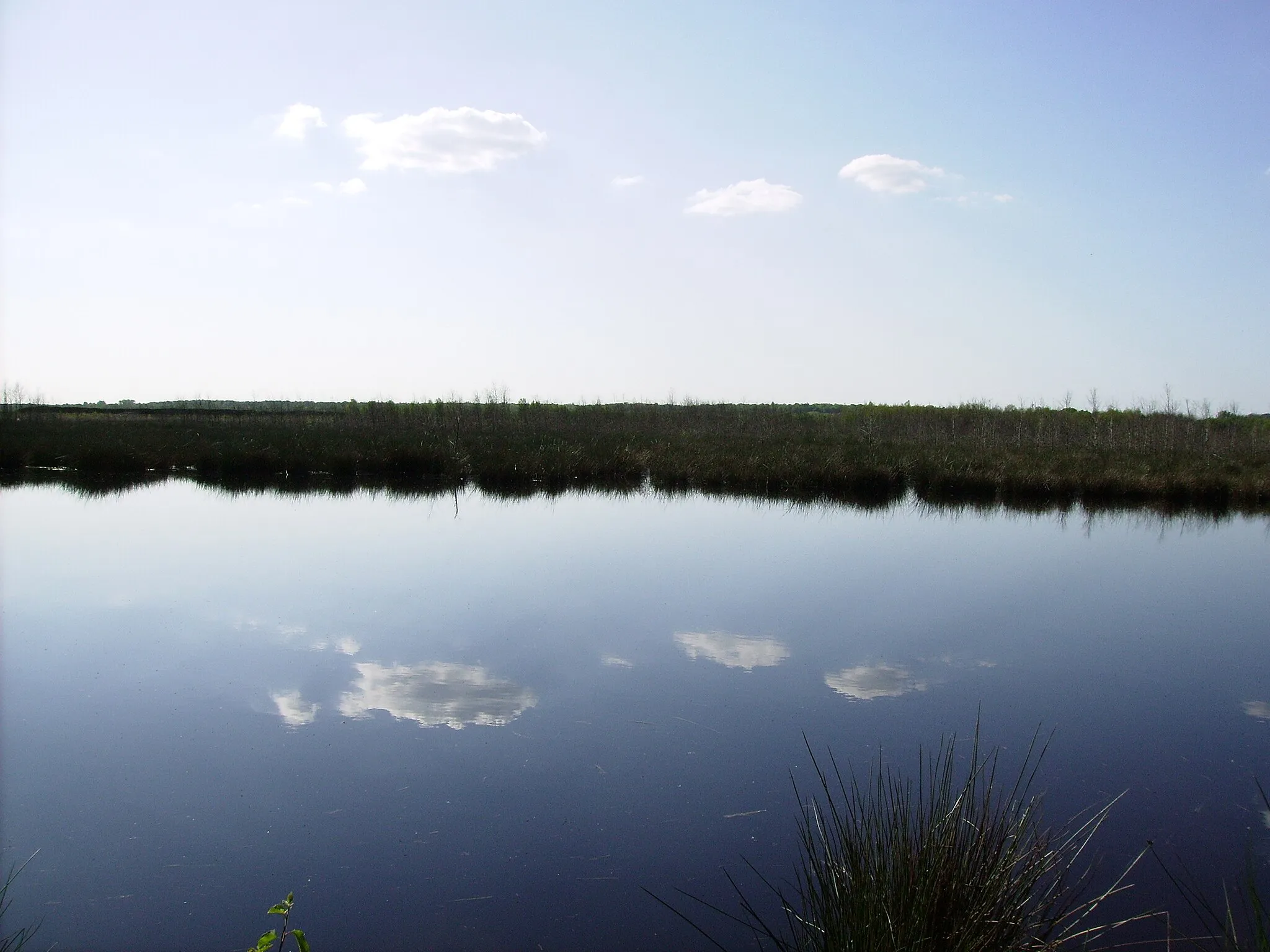 Photo showing: Himmelmoor in Quickborn, near Hamburg