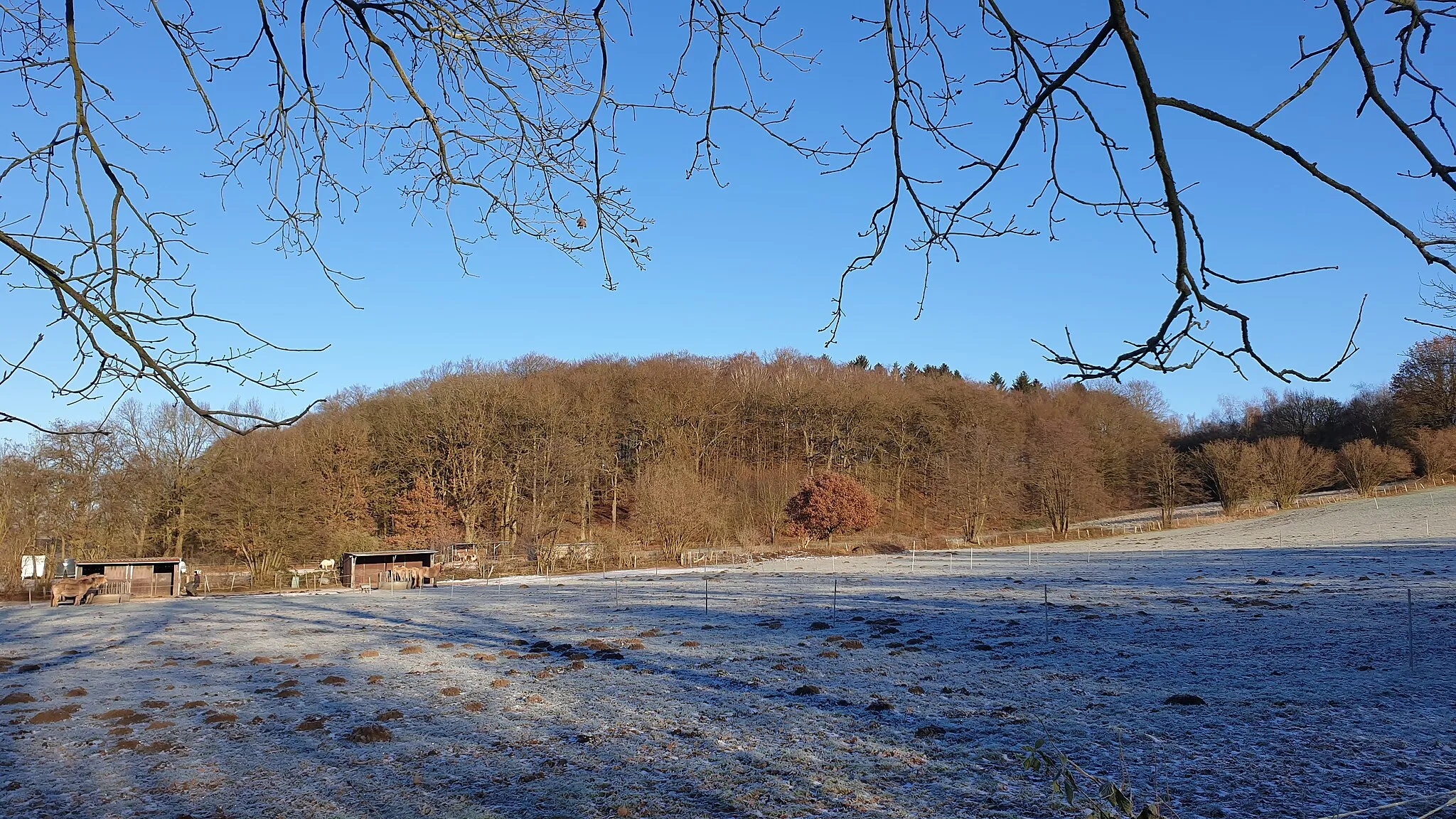Photo showing: Schüberg im Winter