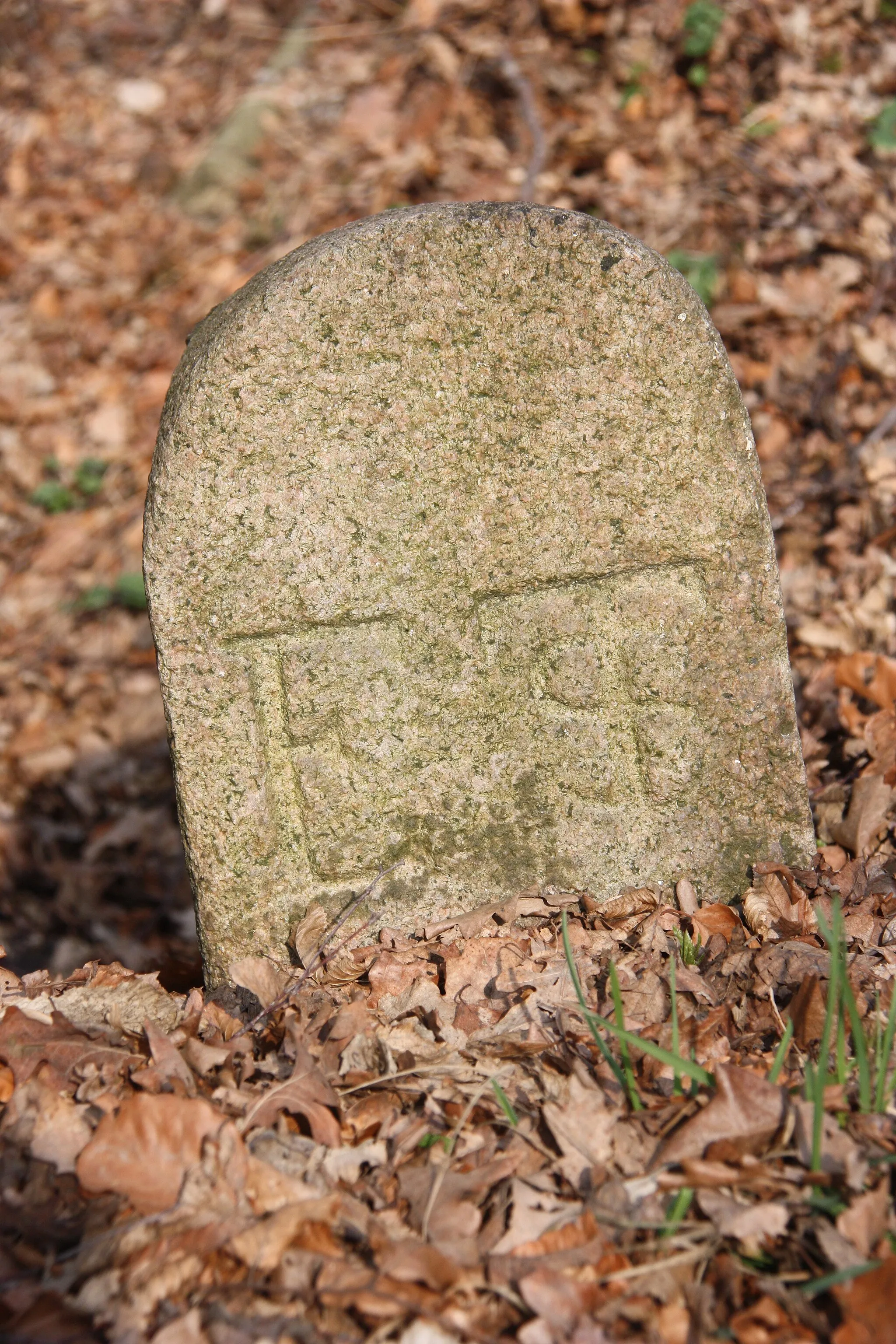 Photo showing: Grenzstein Niendorfer Gehege, Inschrift Rückseite "ND"This is a photograph of an architectural monument. It is on the list of cultural monuments of Hamburg, no. 1528.