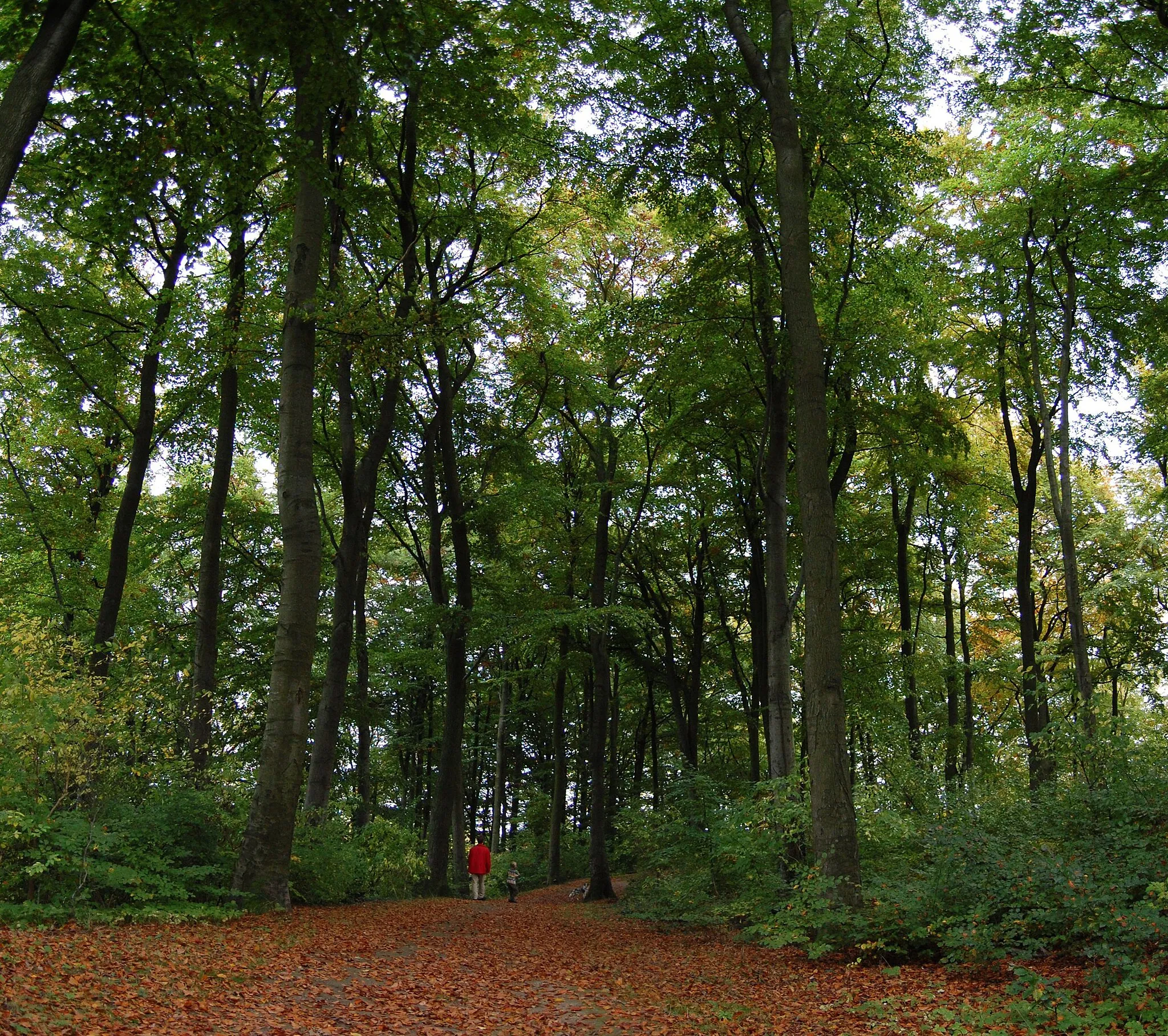 Photo showing: Auf dem Burgberg