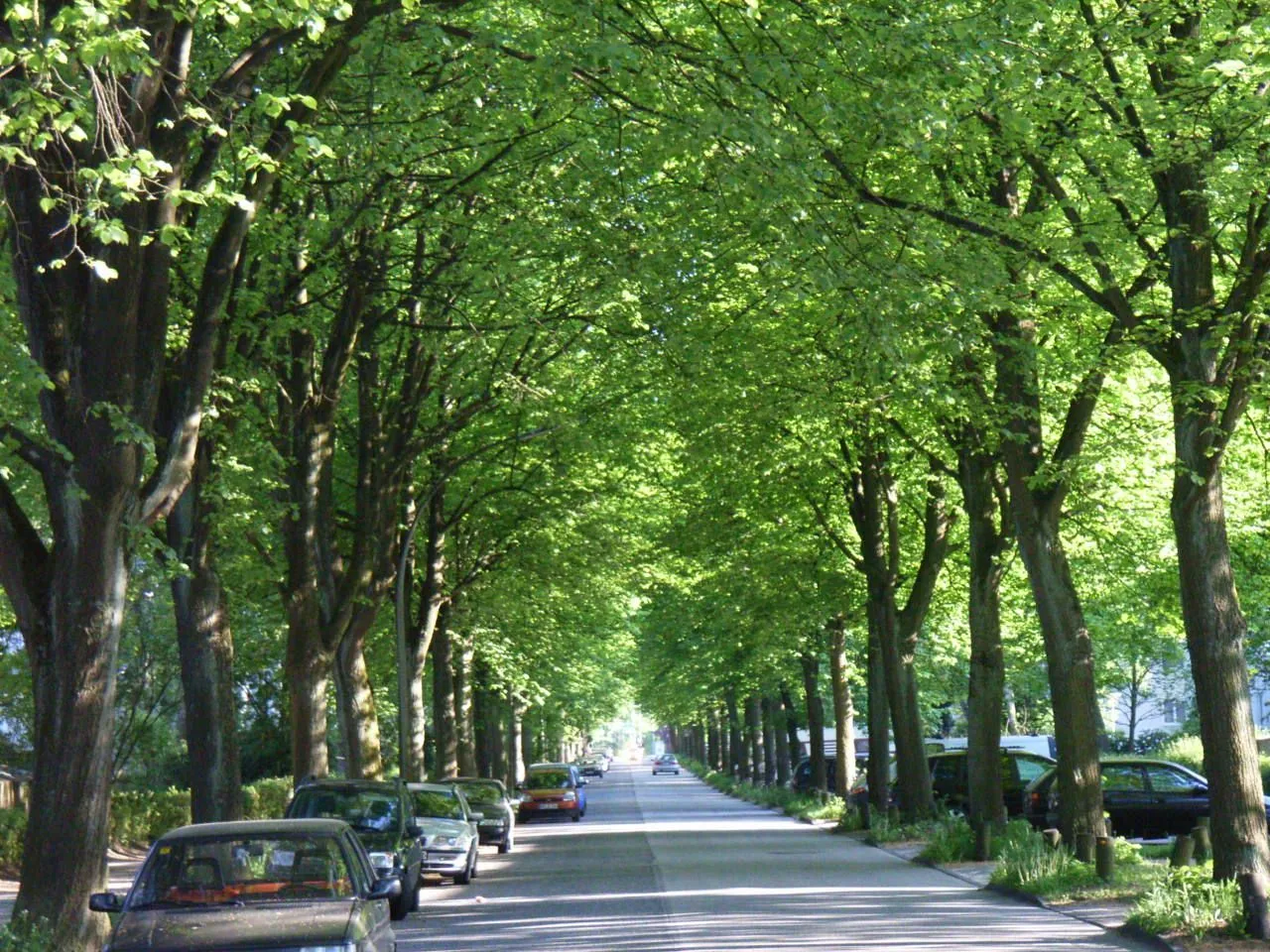 Photo showing: Straße "Am Landpflegeheim" in Osdorf