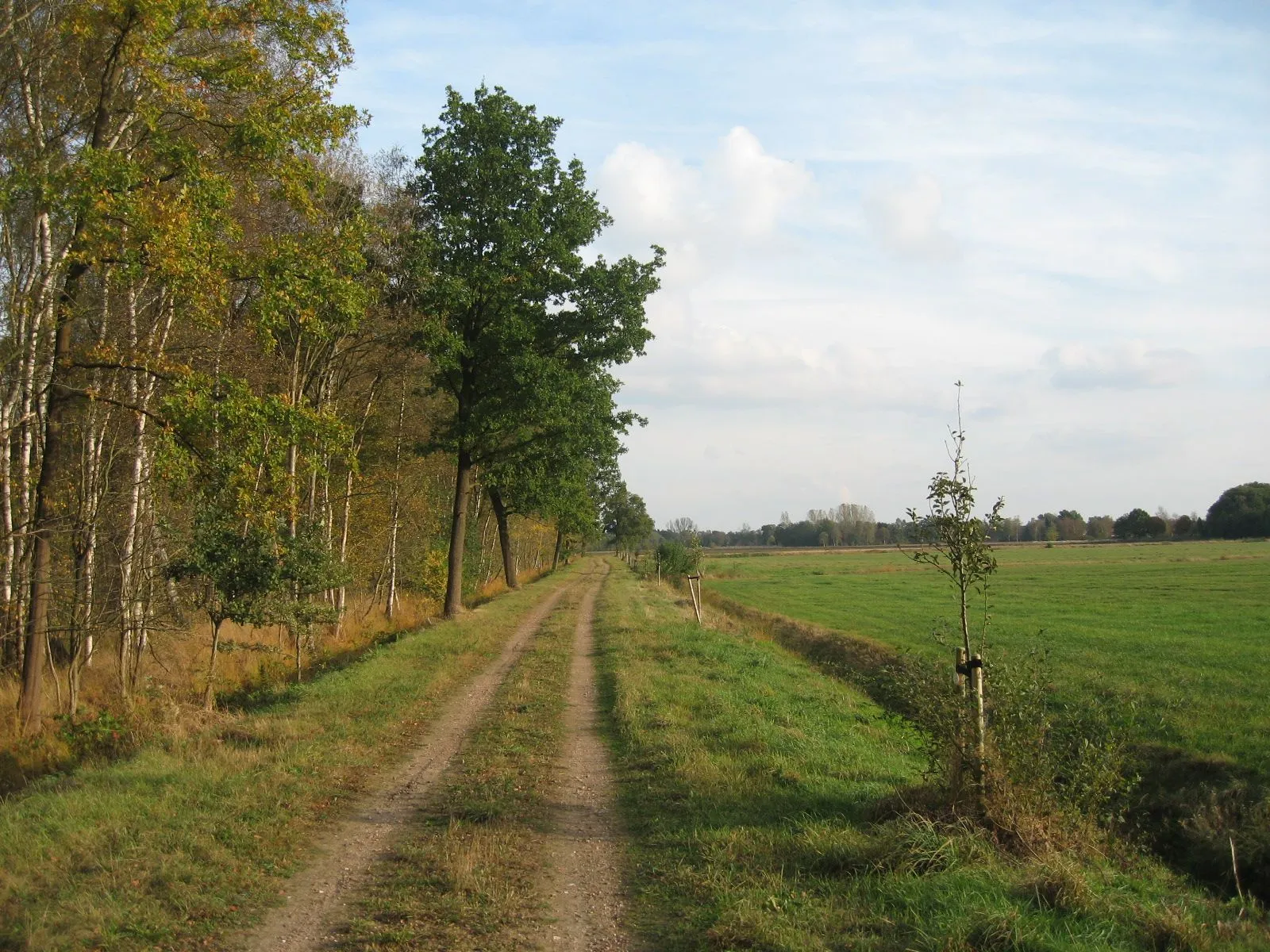 Photo showing: Typical agricultural road at Königsmoor