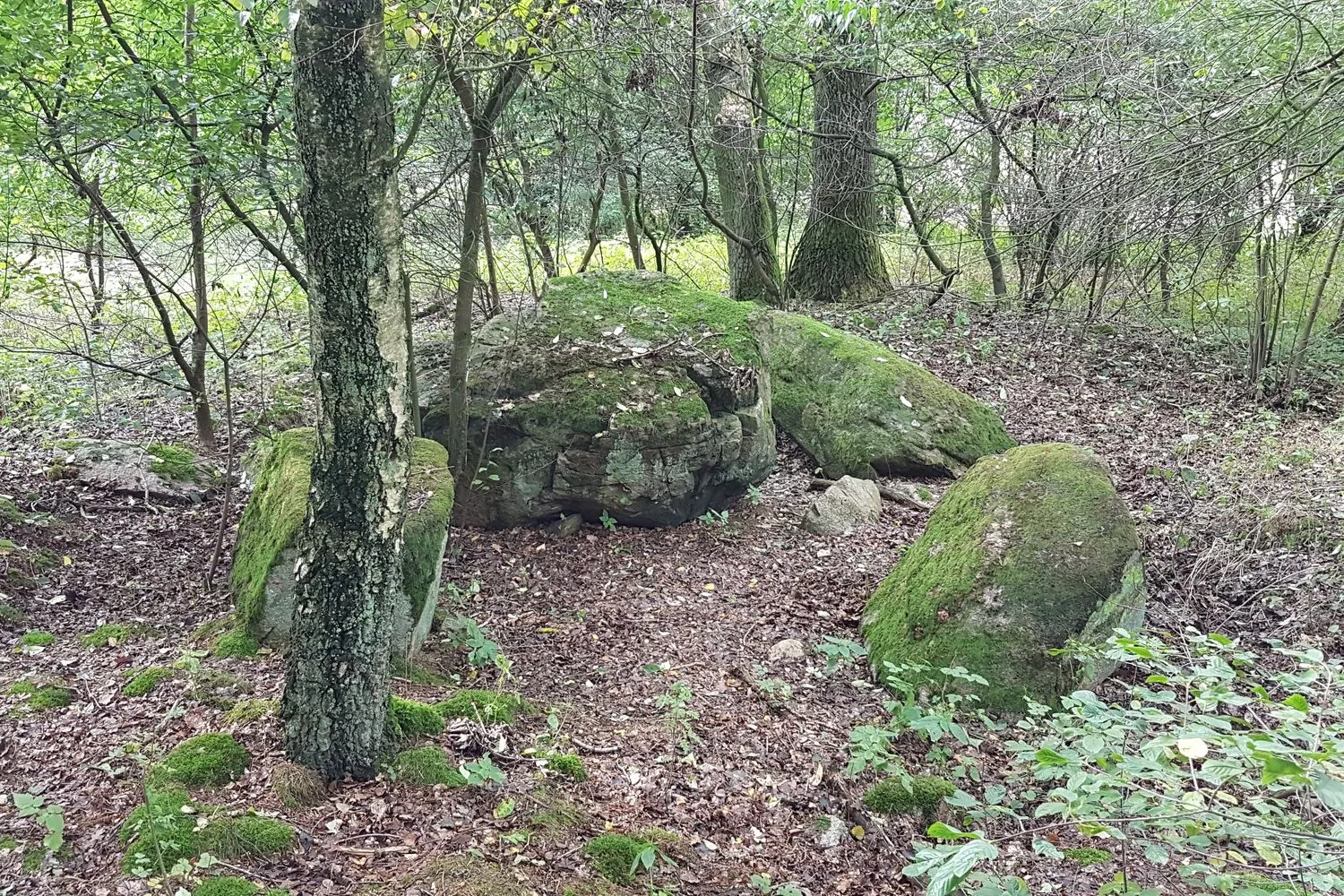 Photo showing: Großsteingrab Wenzendorf