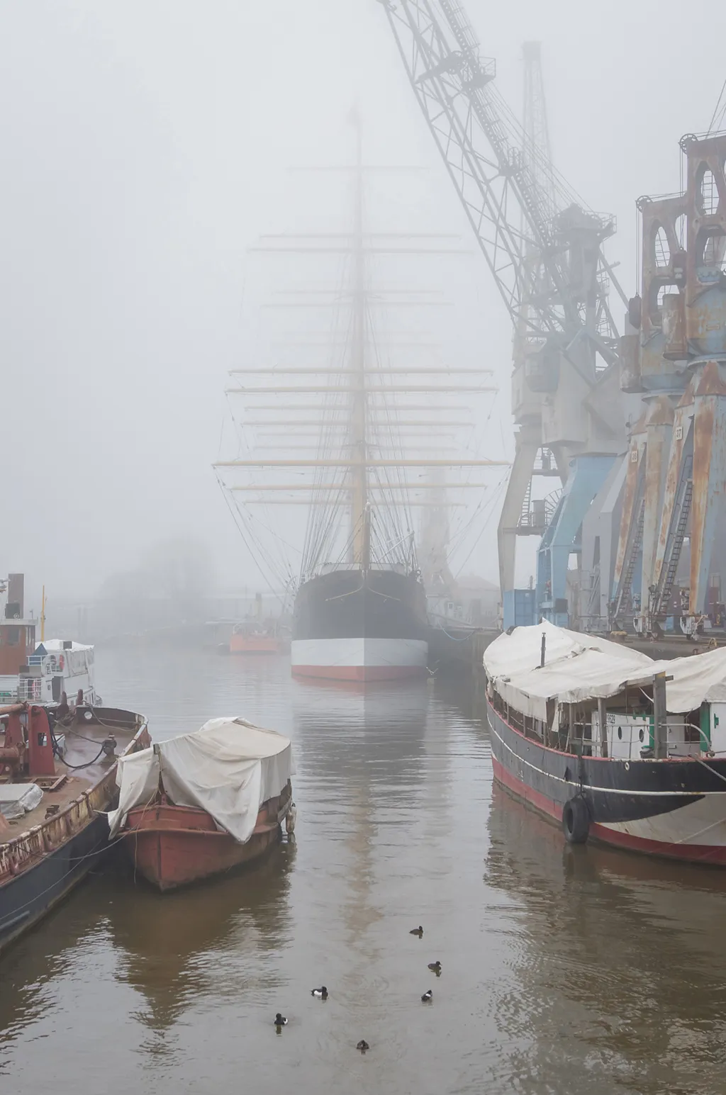 Photo showing: Segelschiff Peking im Hansahafen Hamburg