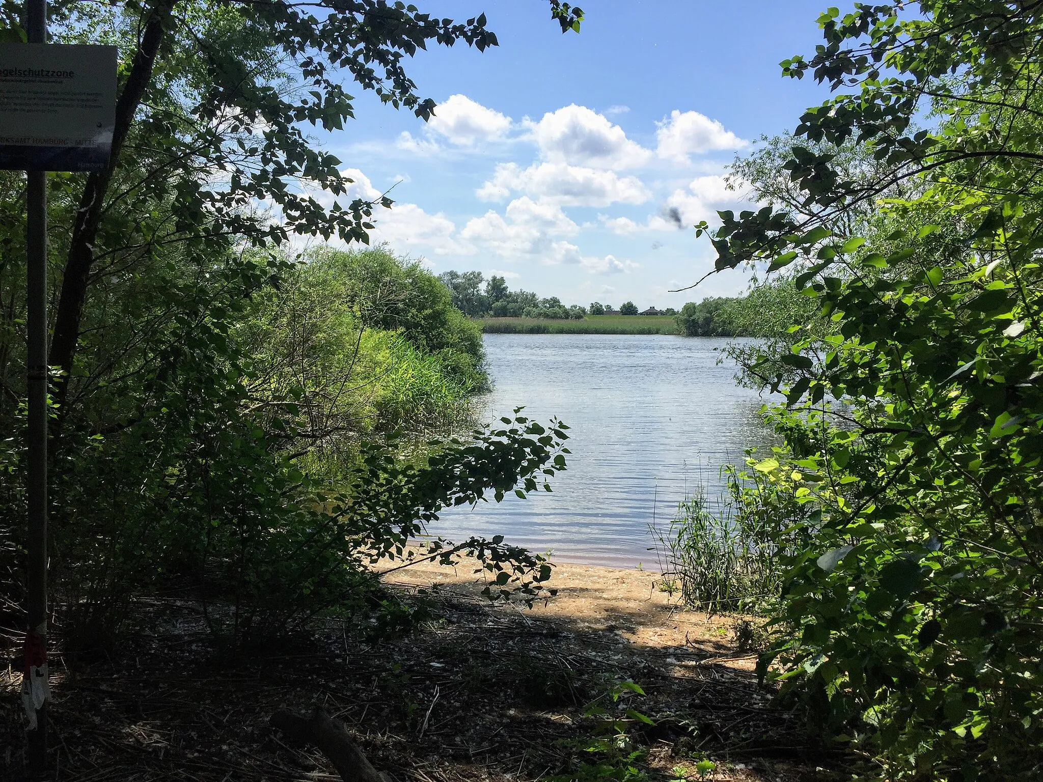 Photo showing: Zwischen Moorwerder Hauptdeich und Süderelbe: Heuckenlock