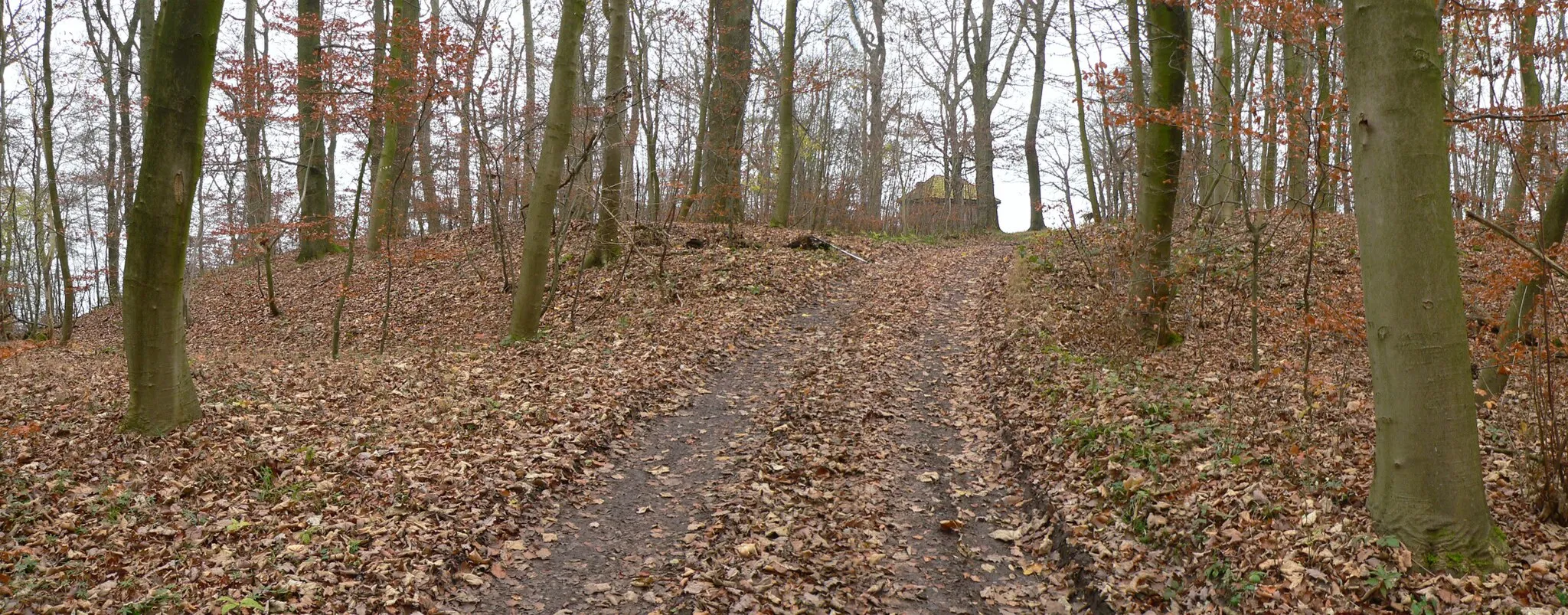 Photo showing: Weg zur Obensburg durch den Wall