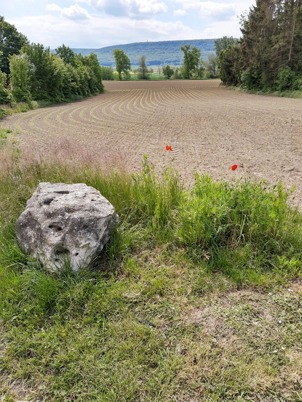 Photo showing: Salzhemmendorf / district Oldendorf in May, view towards Ahrenfeld and Kahnstein