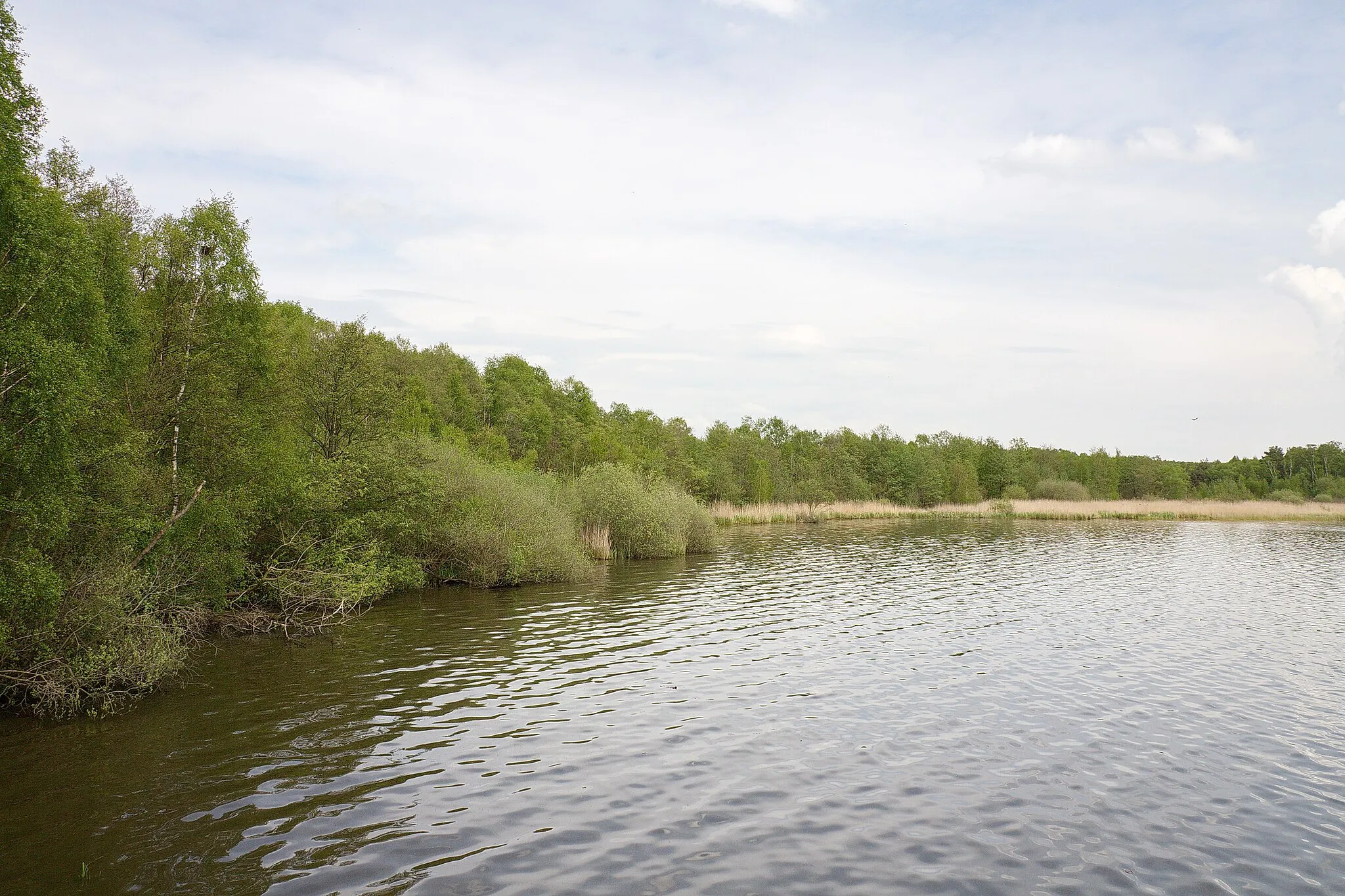 Photo showing: Landschaftsschutzgebiet Steinhuder Meer in Niedersachsen, Deutschland