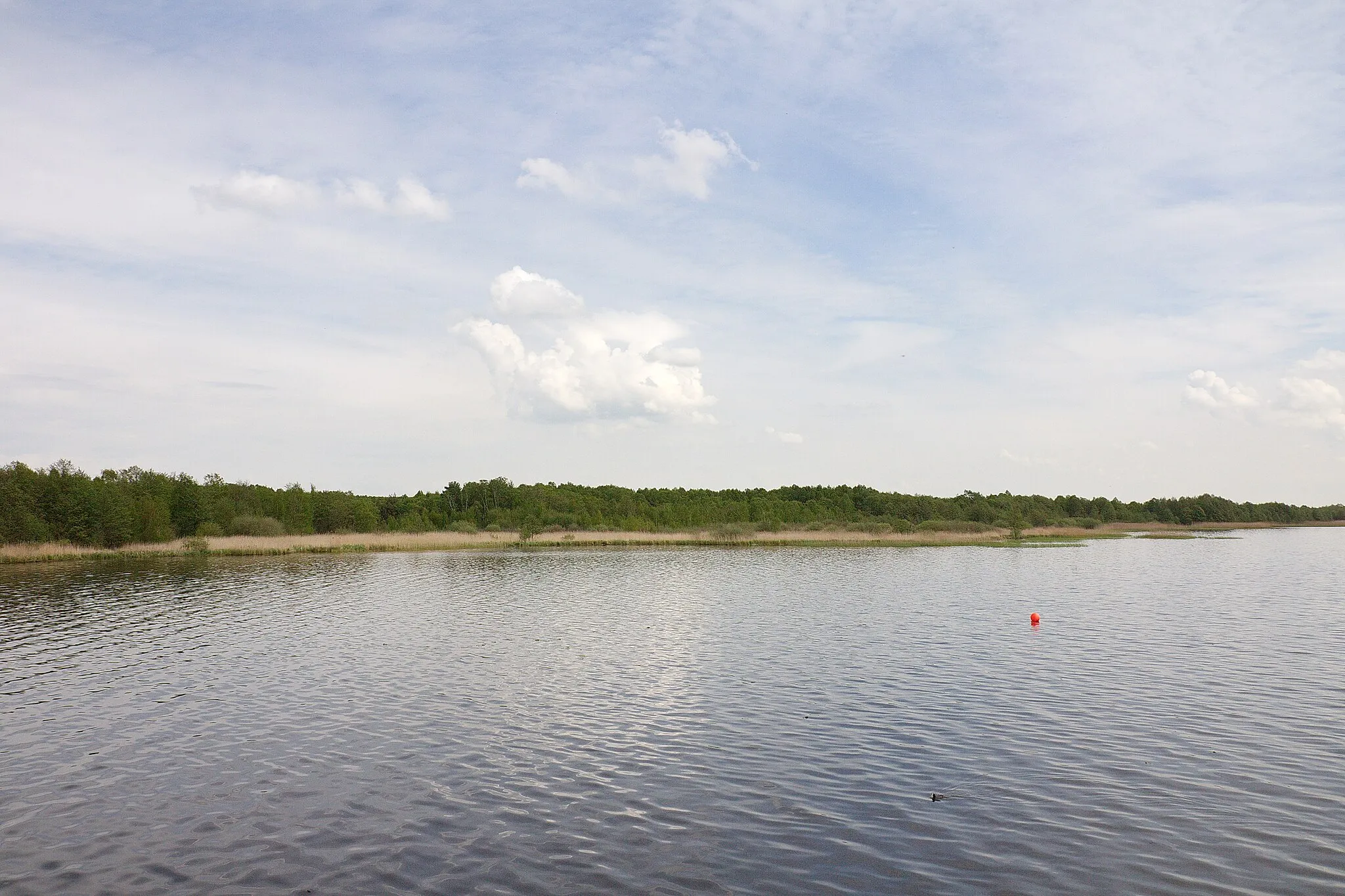 Photo showing: Landschaftsschutzgebiet Steinhuder Meer in Niedersachsen, Deutschland