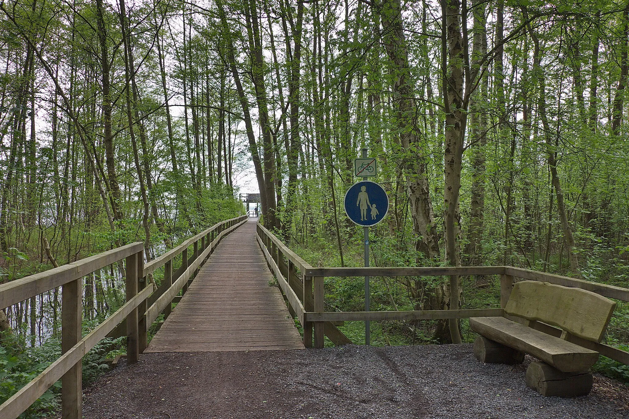 Photo showing: Landschaftsschutzgebiet Steinhuder Meer in Niedersachsen, Deutschland