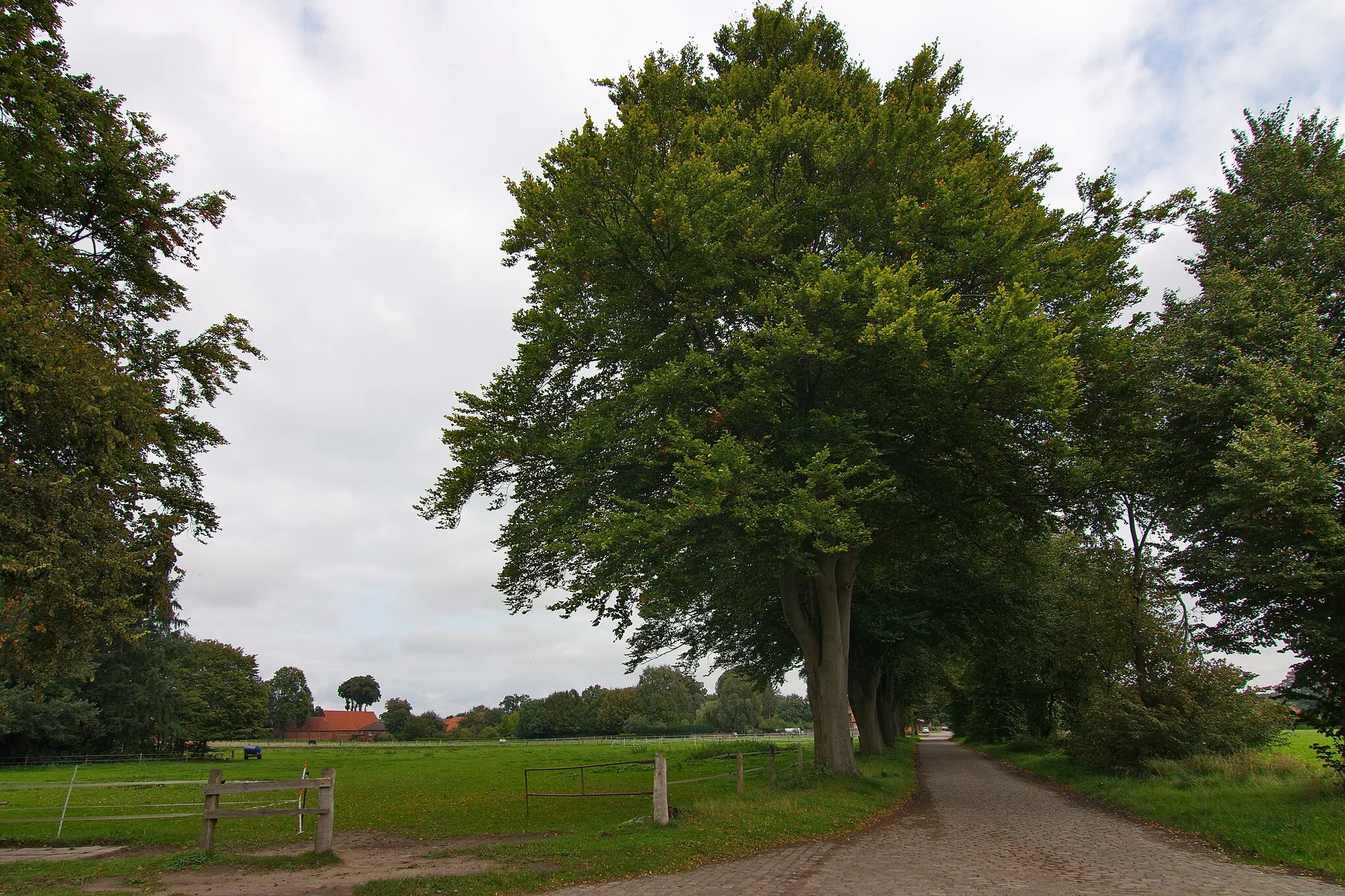 Photo showing: Ortsblick in Estorf, Niedersachsen, Deutschland