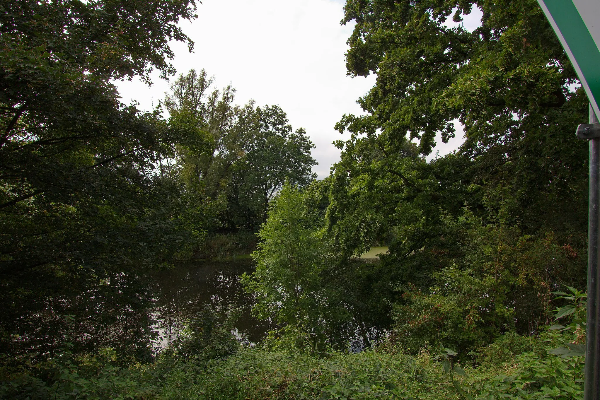 Photo showing: Estorfer See in Estorf, Niedersachsen, Deutschland