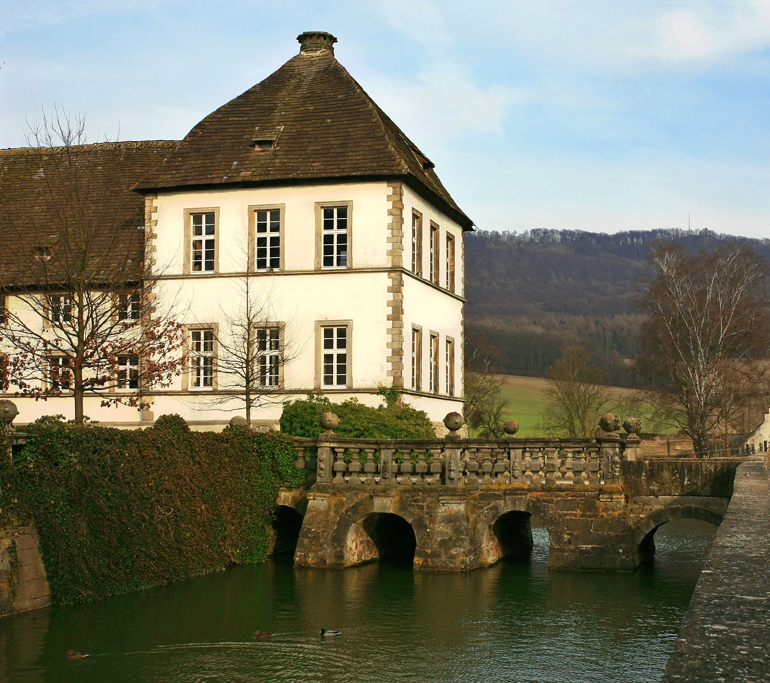 Photo showing: Detailansicht vom Schloss in Bisperode