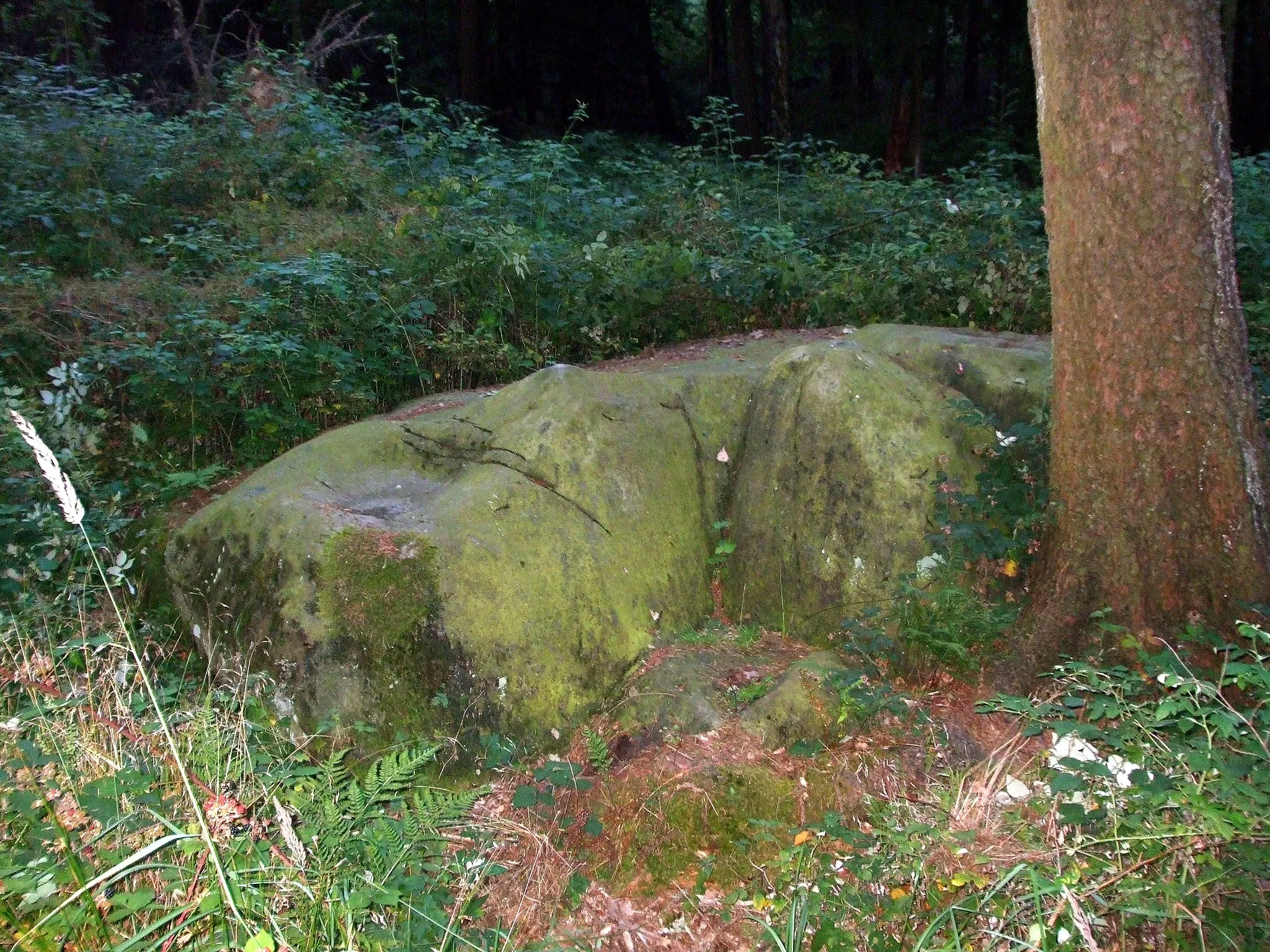 Photo showing: Bild zeigt den Opferstein 2, den sogenannten Schalenstein, im Leistruper Wald bei Detmold.