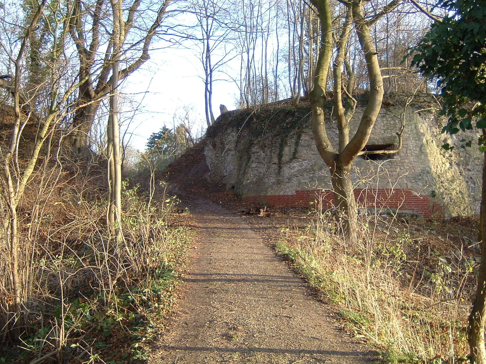 Photo showing: Remains of the Castle Calenberg near Hildesheim, Germany; here: Artillerietower at entrance