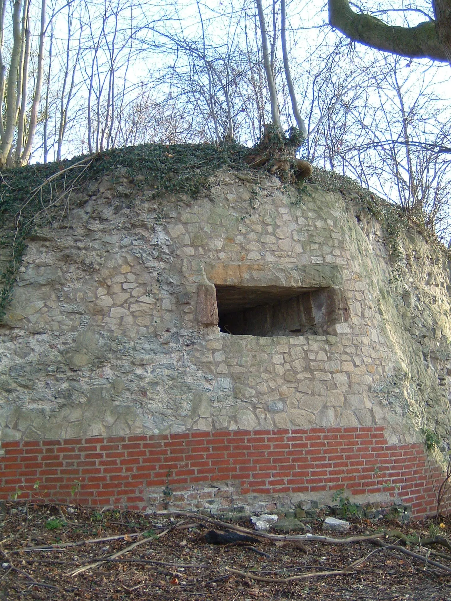 Photo showing: Remains of Castle Calenberg near Hildesheim, Germany; here: Old artillerie-tower at the entrance