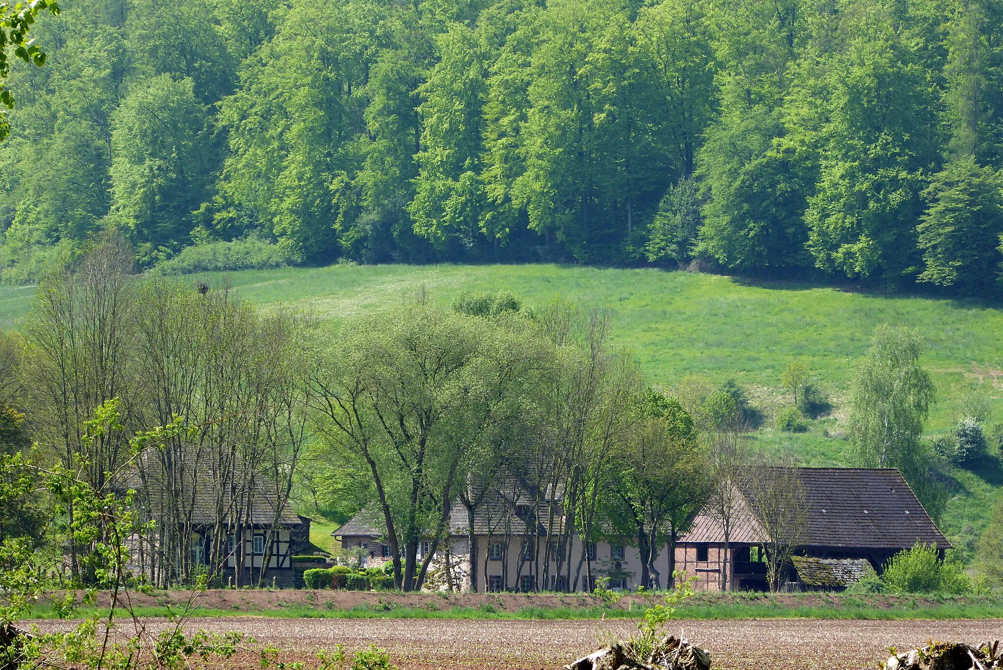 Photo showing: Duhnemühle bei Negenborn, Übersichtsfoto aus Richtung des Orts