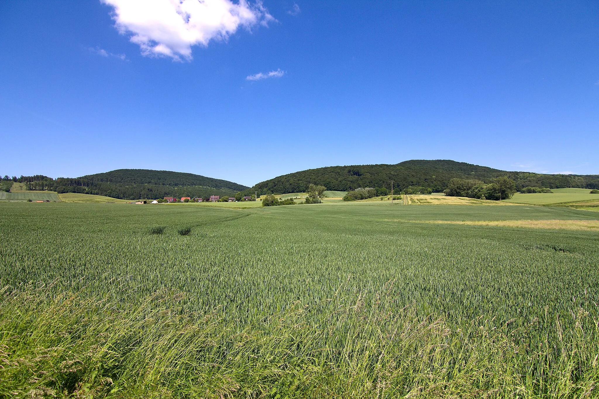Photo showing: Landschaftsschutzgebiet Süntel, Niedersachsen, Deutschland