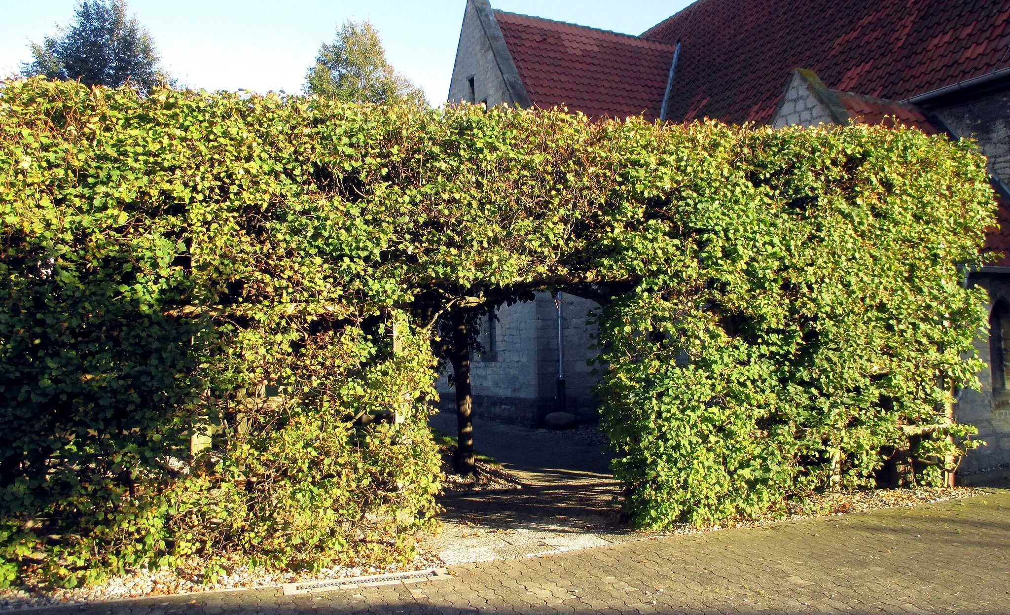 Photo showing: Laubengang an der Kirche in Feldbergen, Gemeinde Söhlde