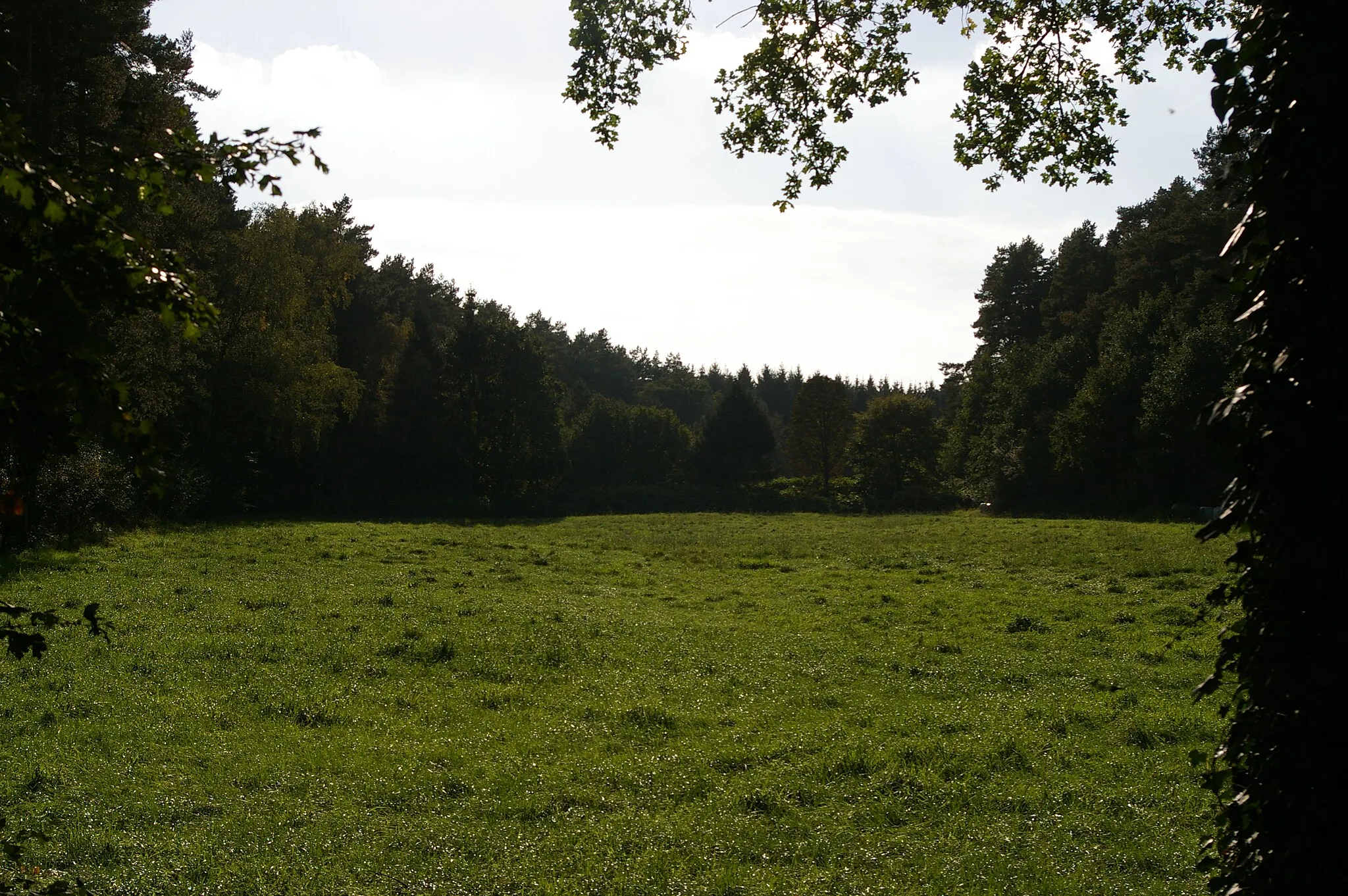 Photo showing: Nienburger Bruch (Naturschutzgebiet)