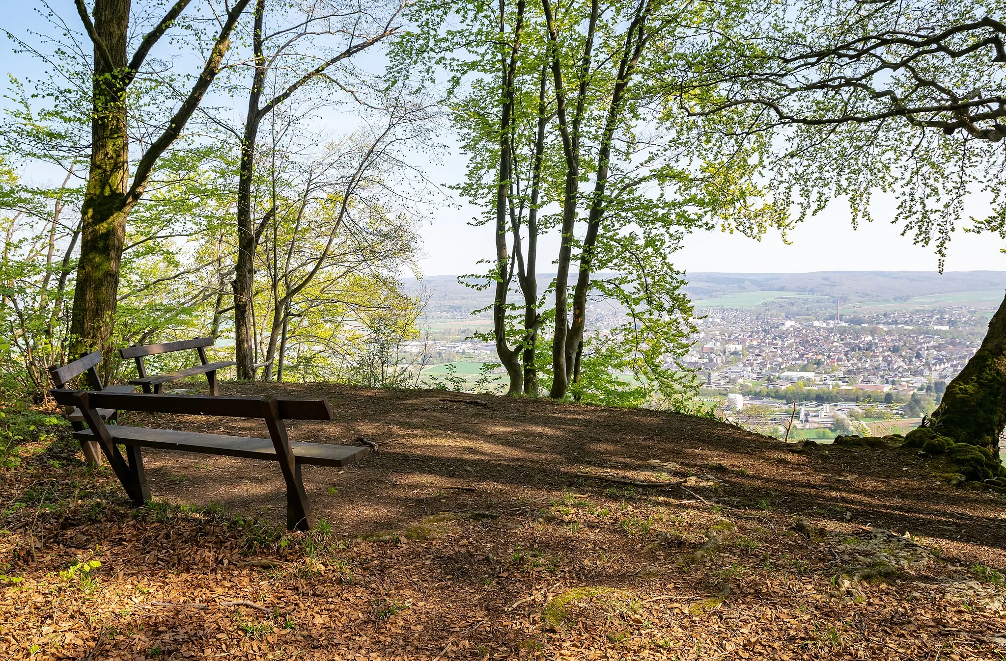 Photo showing: Naturschutzgebiet Kiekenstein nördlich Höxter-Stahle, Kreis Höxter