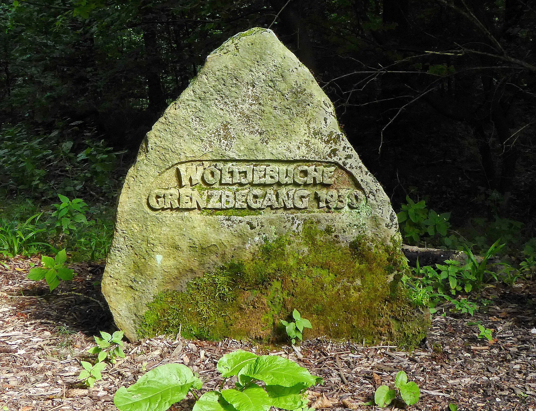 Photo showing: Dieser Gedenkstein erinnert an die inzwischen zerstörte Wöltjebuche, die ihren Namen 1930 zu Ehren des Vorsitzenden der Forstgenossenschaft Wennigsen-Argestorf, Carl Wöltje, erhalten hatte.