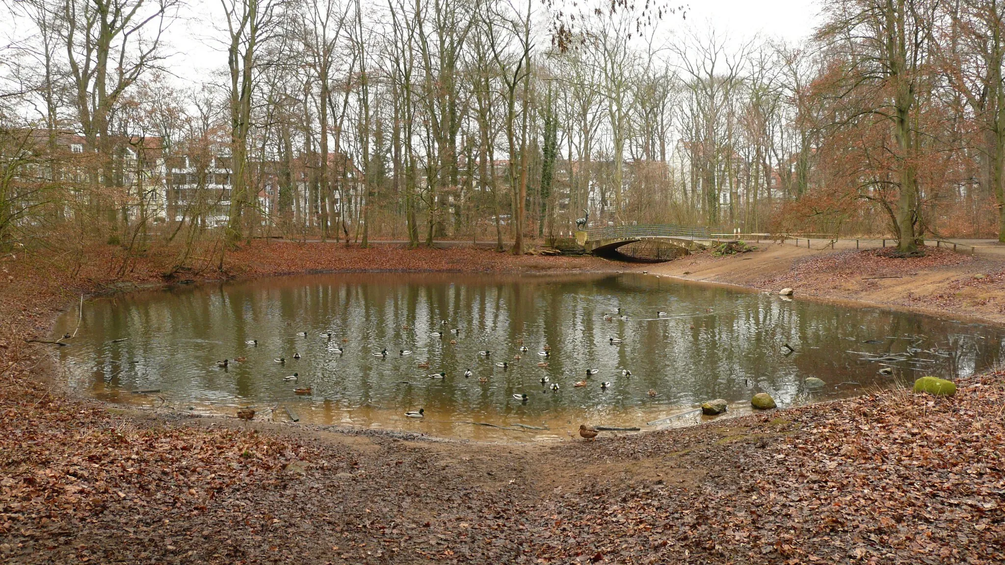 Photo showing: Großer Teich, Ententeich, in Hannover