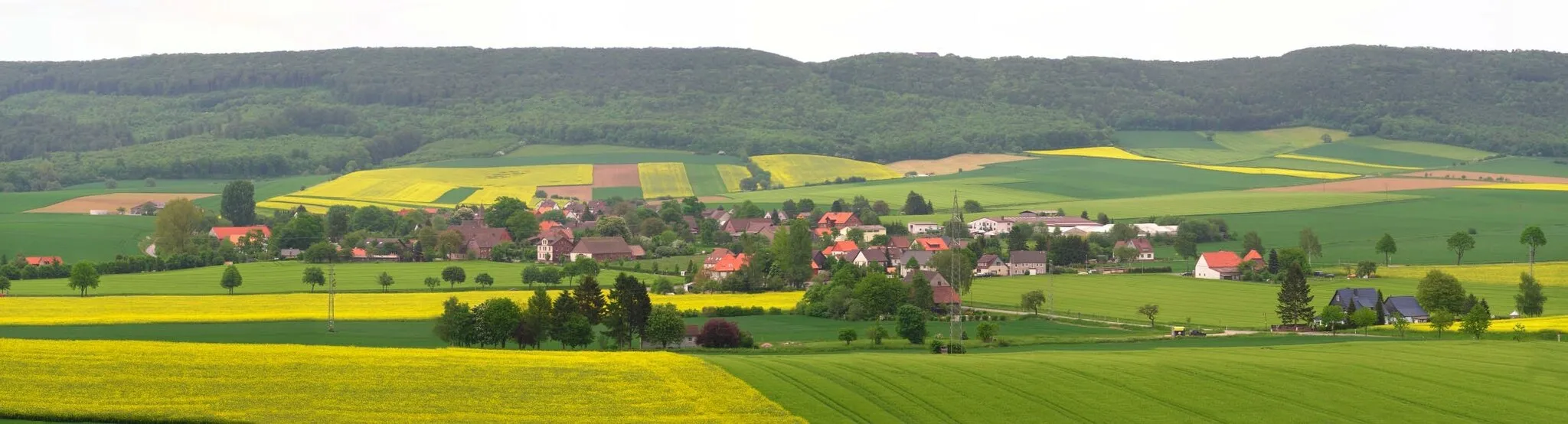 Photo showing: Blick auf Lüerdissen, Landkreis Holzminden, Deutschland. Standort: Wiese bei Oelkassen.