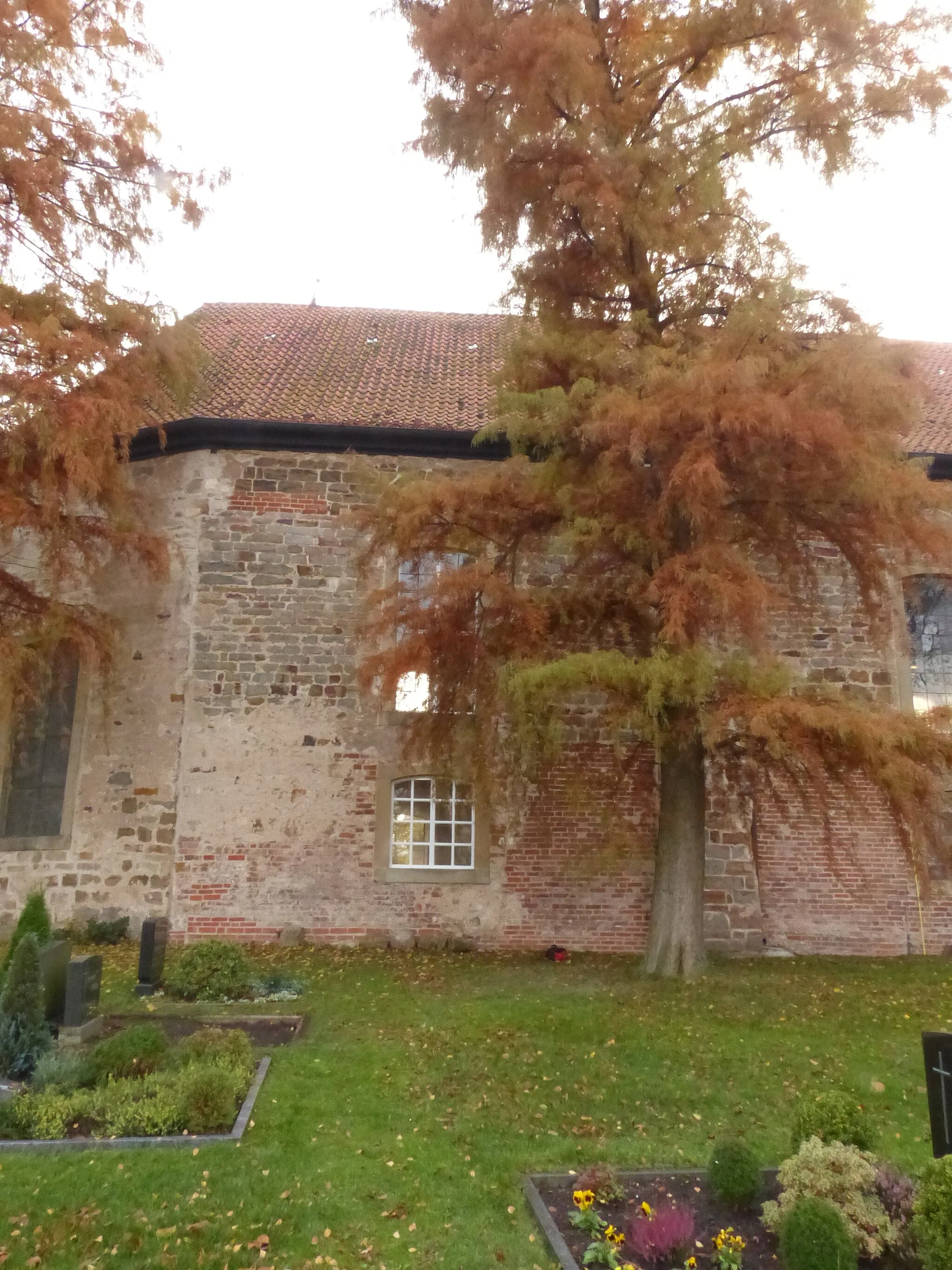 Photo showing: Dorfkirche in Nendor (Stolzenau9