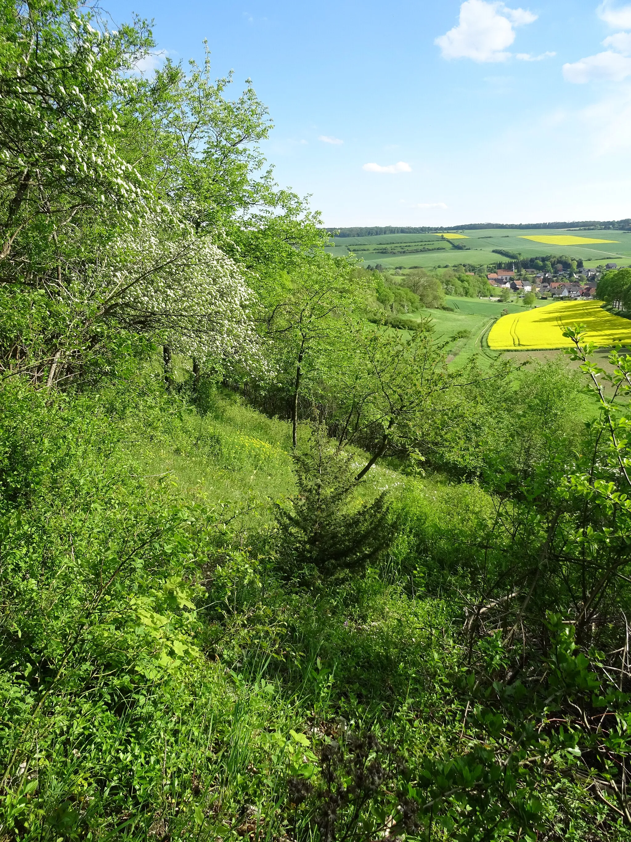 Photo showing: NSG HA 077 Schiefer Holzer Berg - Blick Richtung Langenholzen (3)