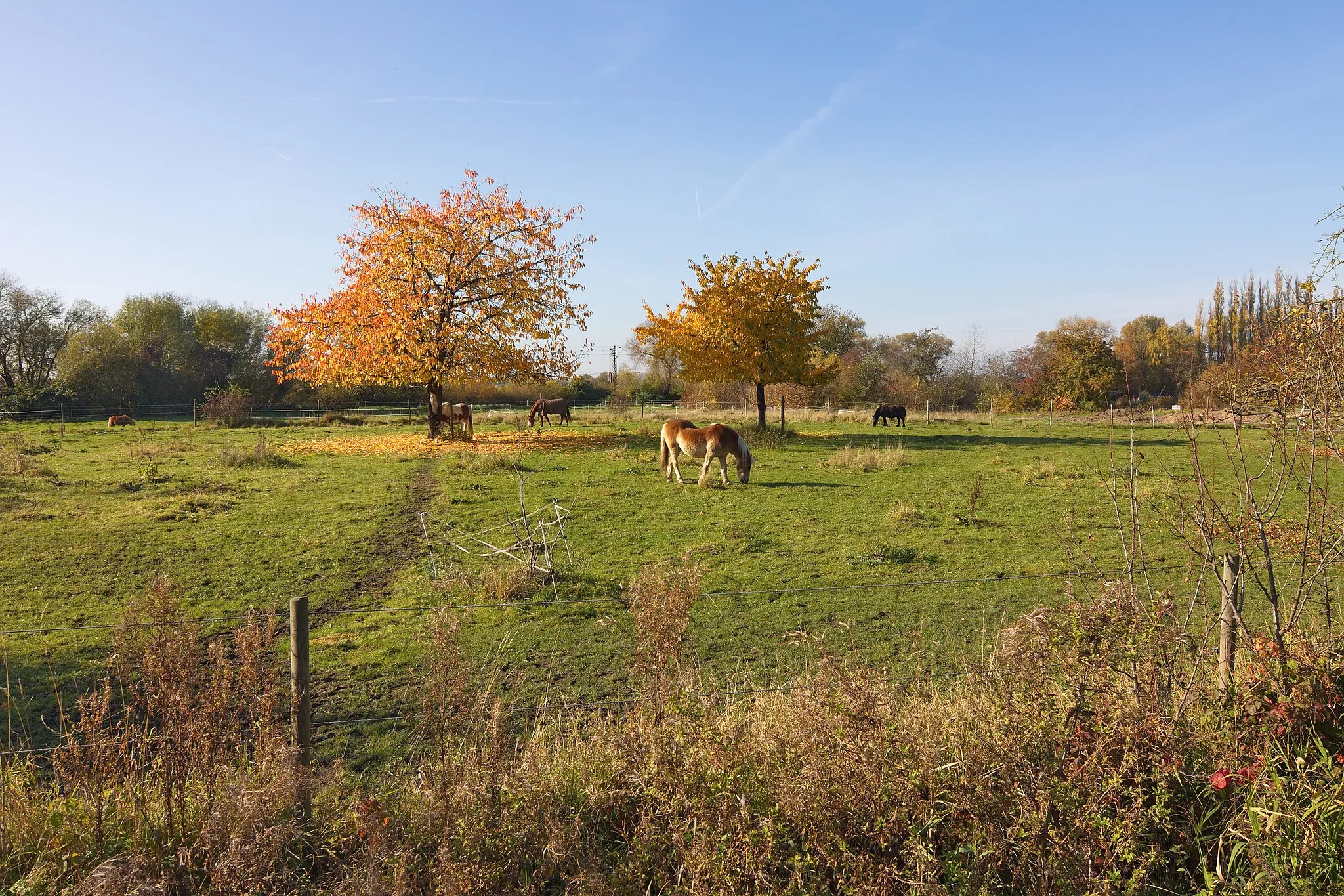 Photo showing: Ortsblick in Heisede (Sarstedt,) Niedersachsen, Deutschland