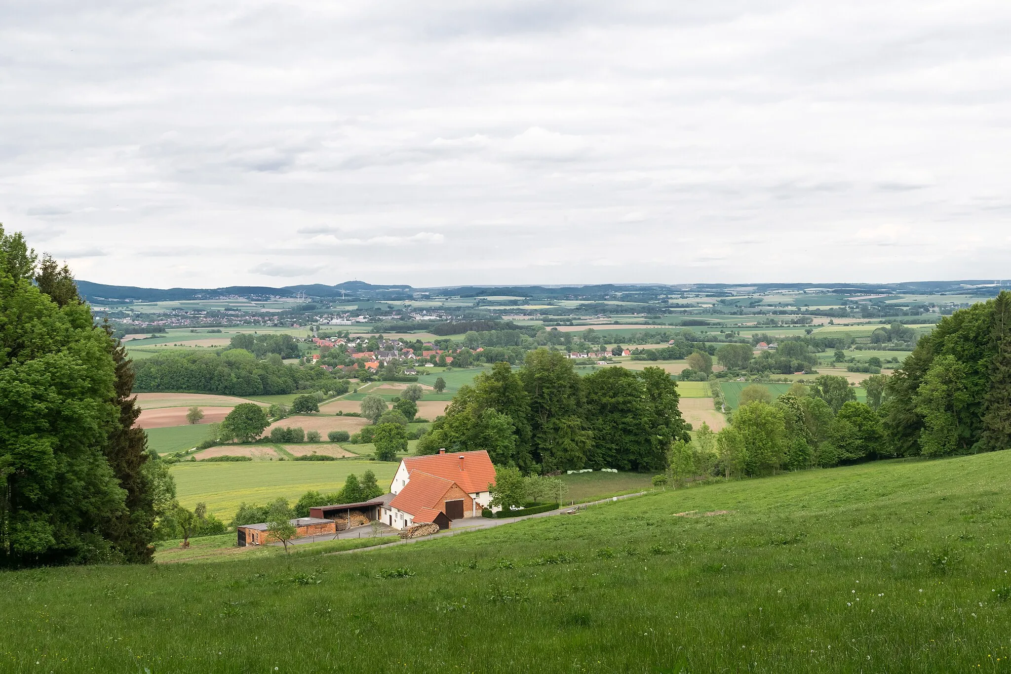 Photo showing: Blick vom Bellenberg bei Horn-Bad Meinberg auf die Steinheimer Börde mit Ottenhausen, Steinheim und dem Köterberg im Hintergrund